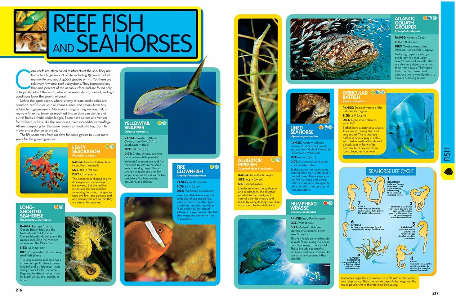 Animal Encyclopedia: 2,500 Animals with Photos, Maps & More