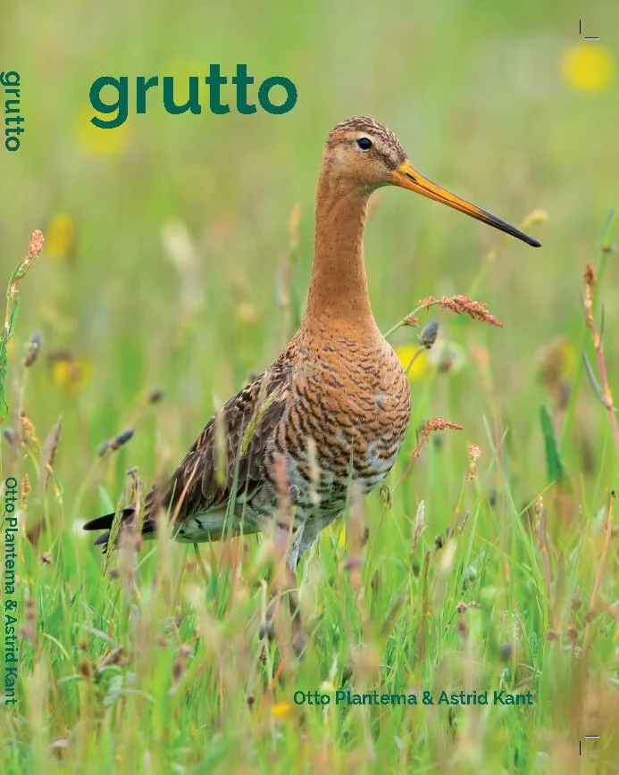 Grutto
