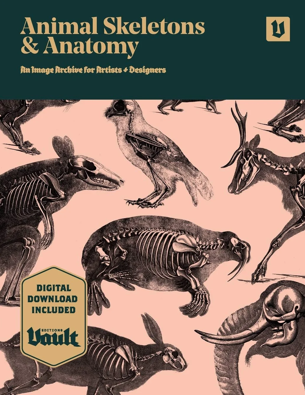 Animal Skeletons and Anatomy: An Image Archive for Artists and Designers