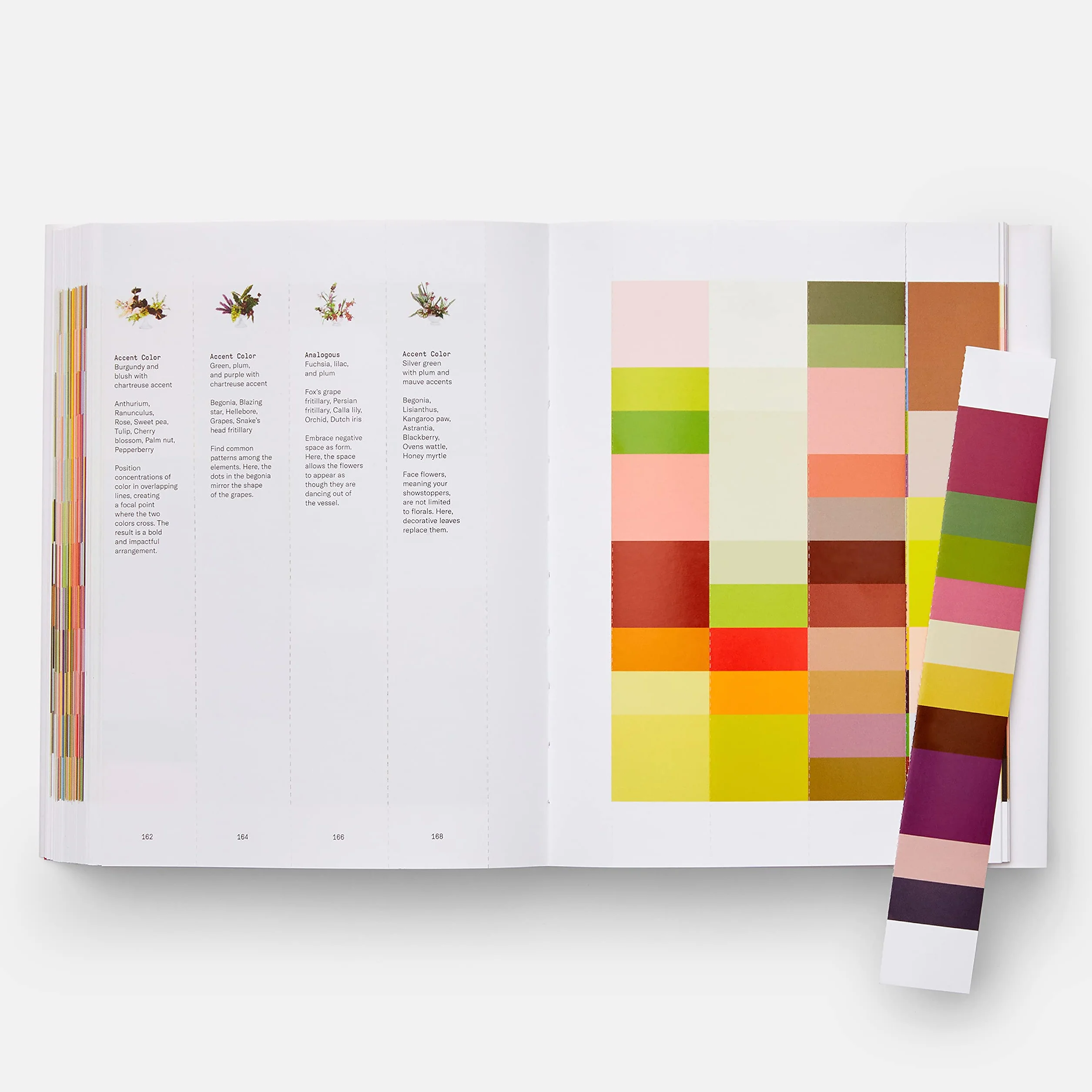 Flower Colour Theory