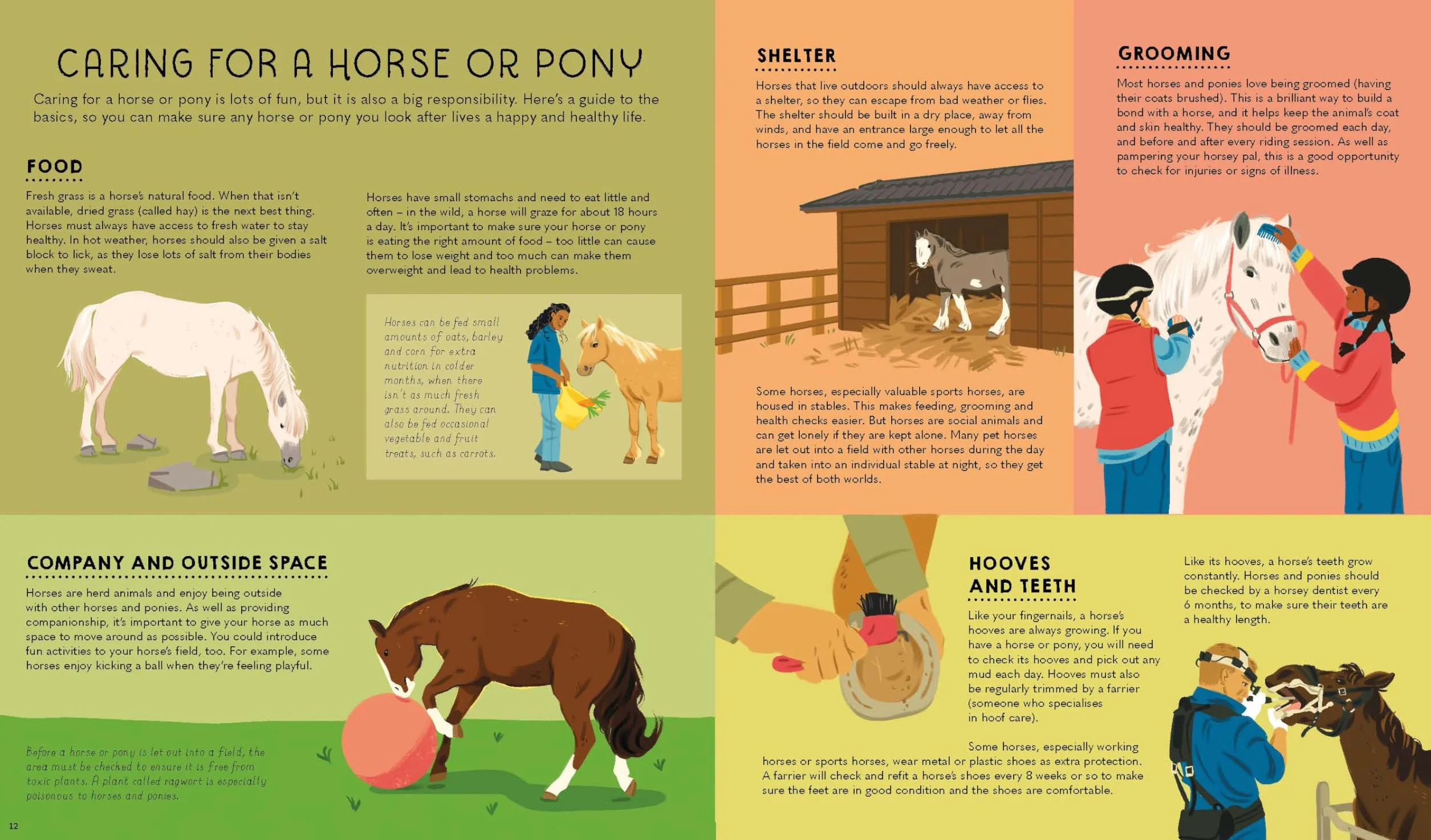 Atlas of Horses and Ponies: 100 Amazing Breeds From Around the World Fun Features Illustrations Learn About Super Senses Fascinating Facts