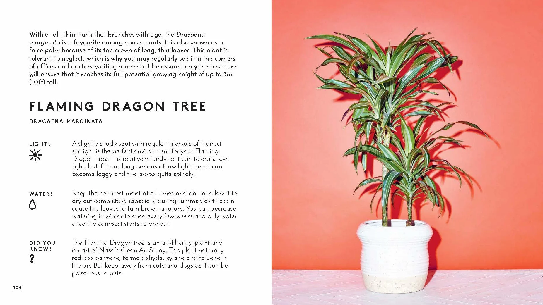 Little Book of House Plants and Other Greenery