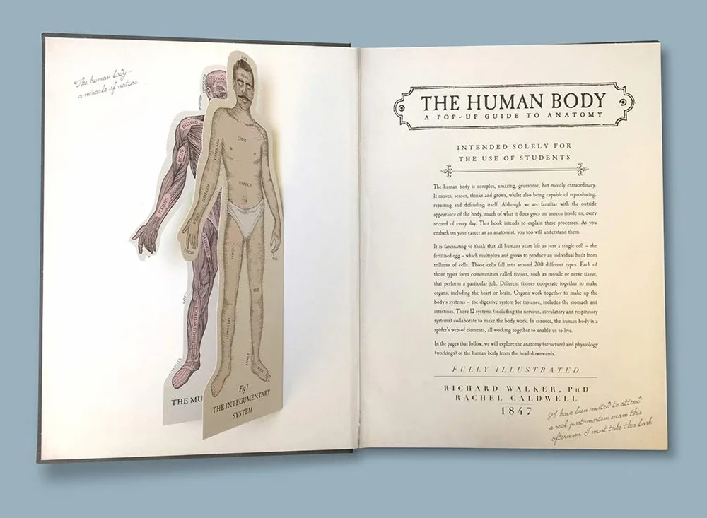 The Human Body: A Pop-Up Guide to Anatomy