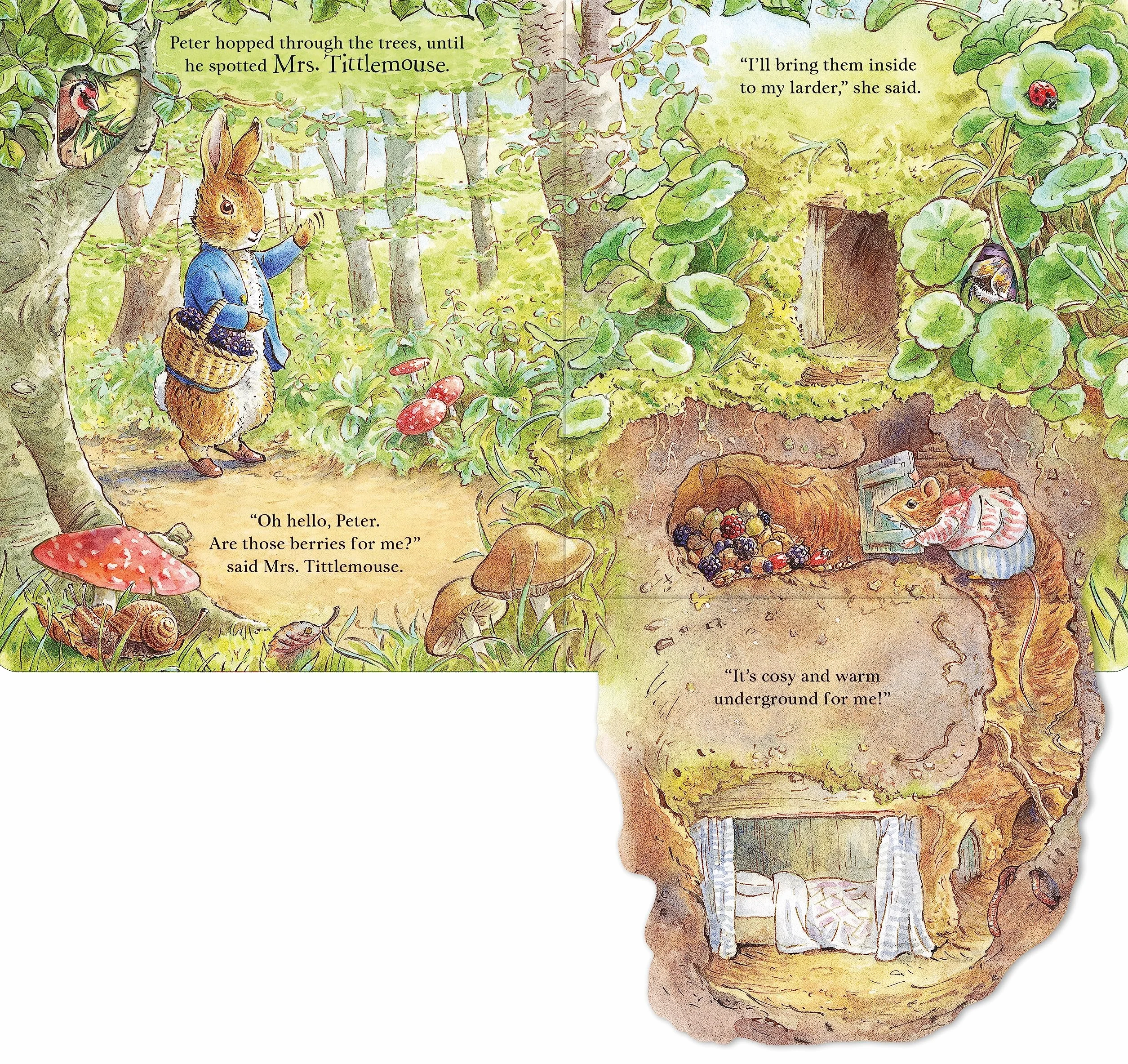 Peter Rabbit: Forest Homes A Peep-Inside Tale