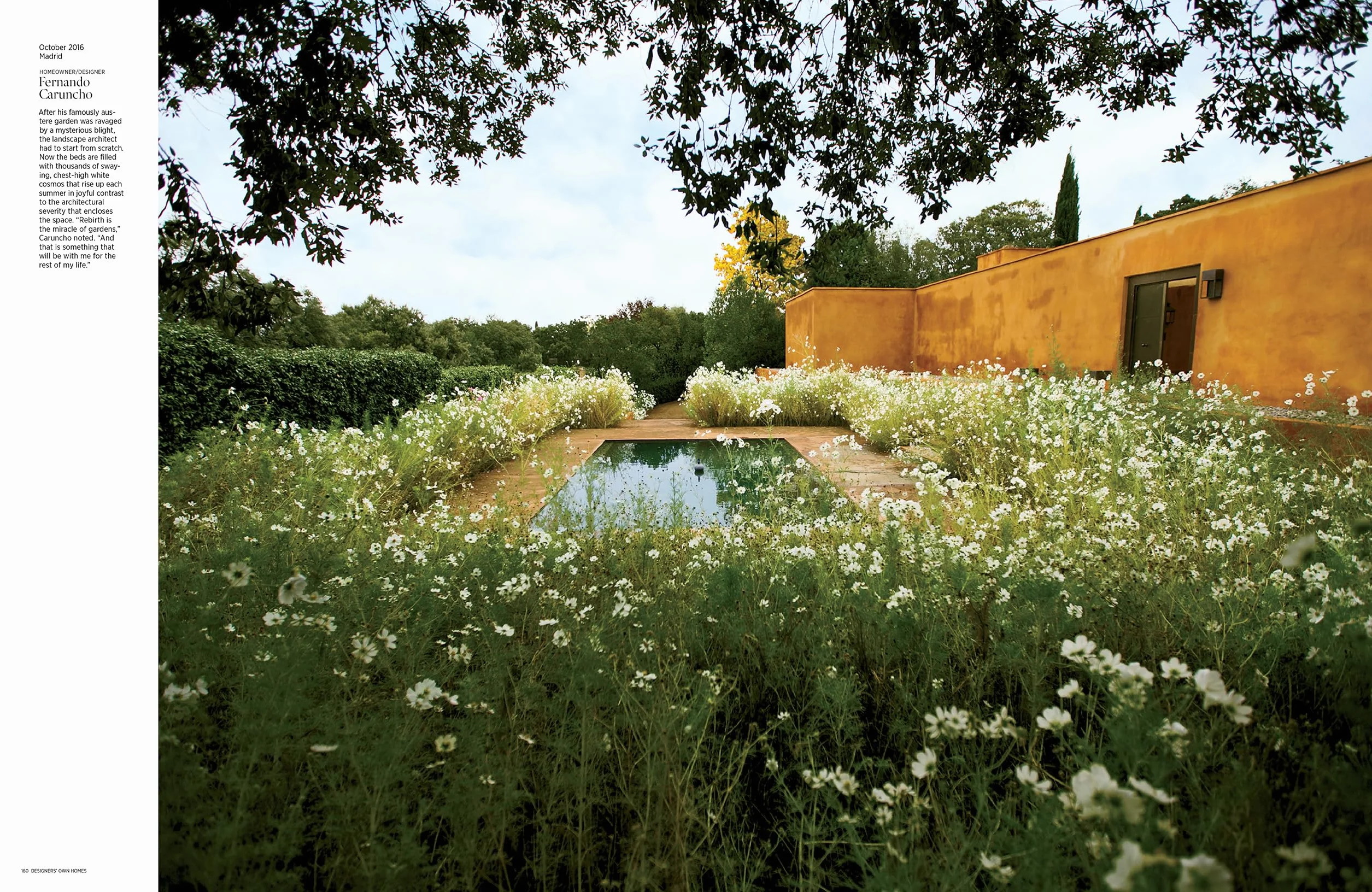 Architectural Digest at 100: The Collector's Edition