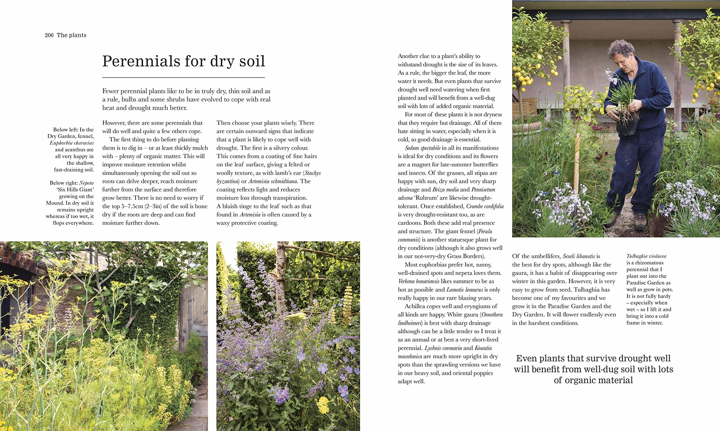 The Complete Gardener: A Practical Guide to Gardening