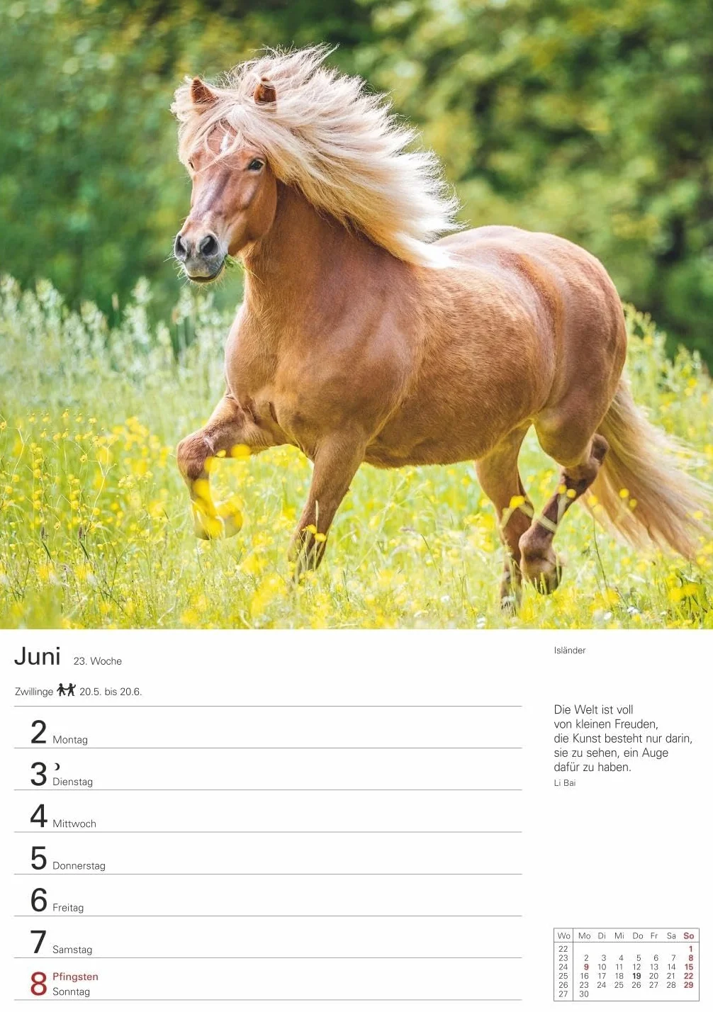 Pferde Wochenplaner 2025 - 53 Blatt mit Zitaten und Wochenchronik: Wochenkalendarium, Zitate und Pferdefotos in einem praktischen Termin-Kalender. ... Fotokalender mit Raum für Notizen