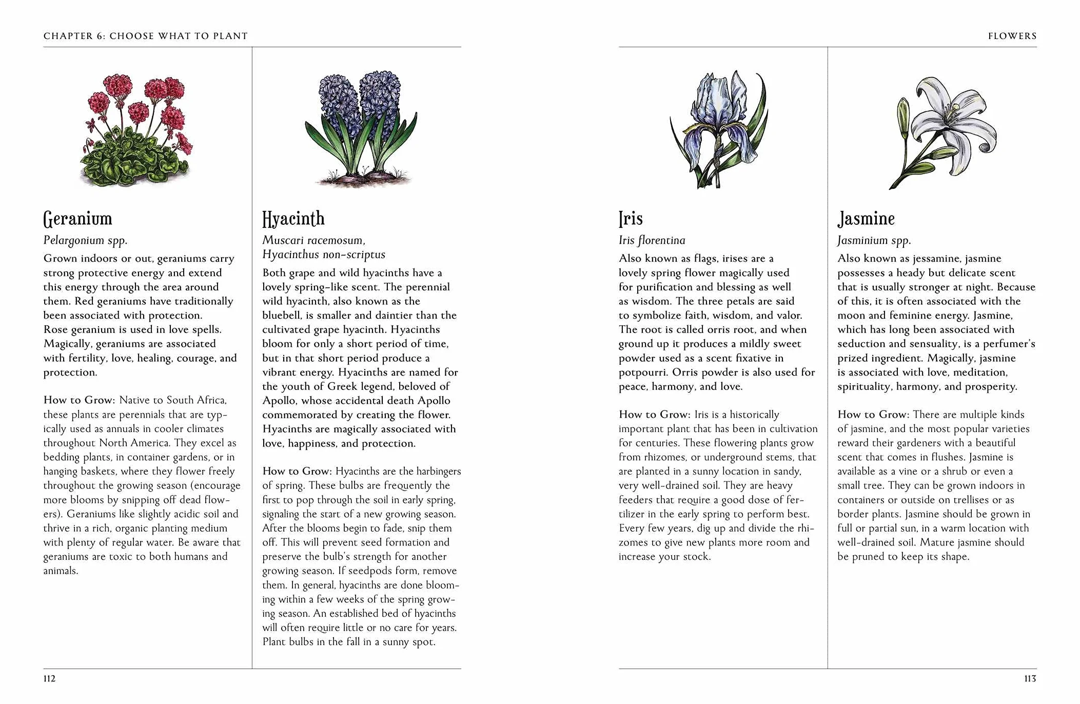 The Green Witch's Garden: Your Complete Guide to Creating a Magical Garden Space