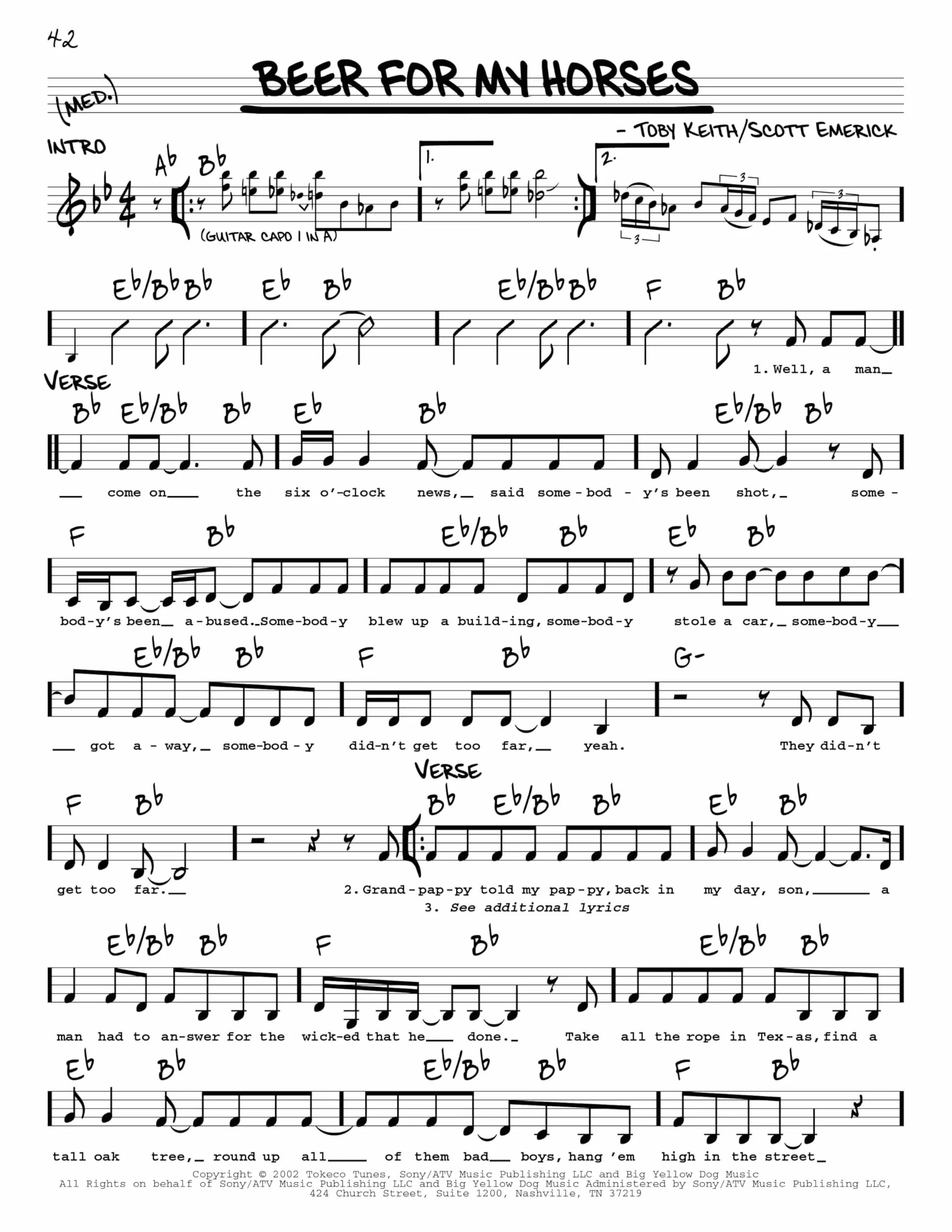 The Real Country Book: C Instruments