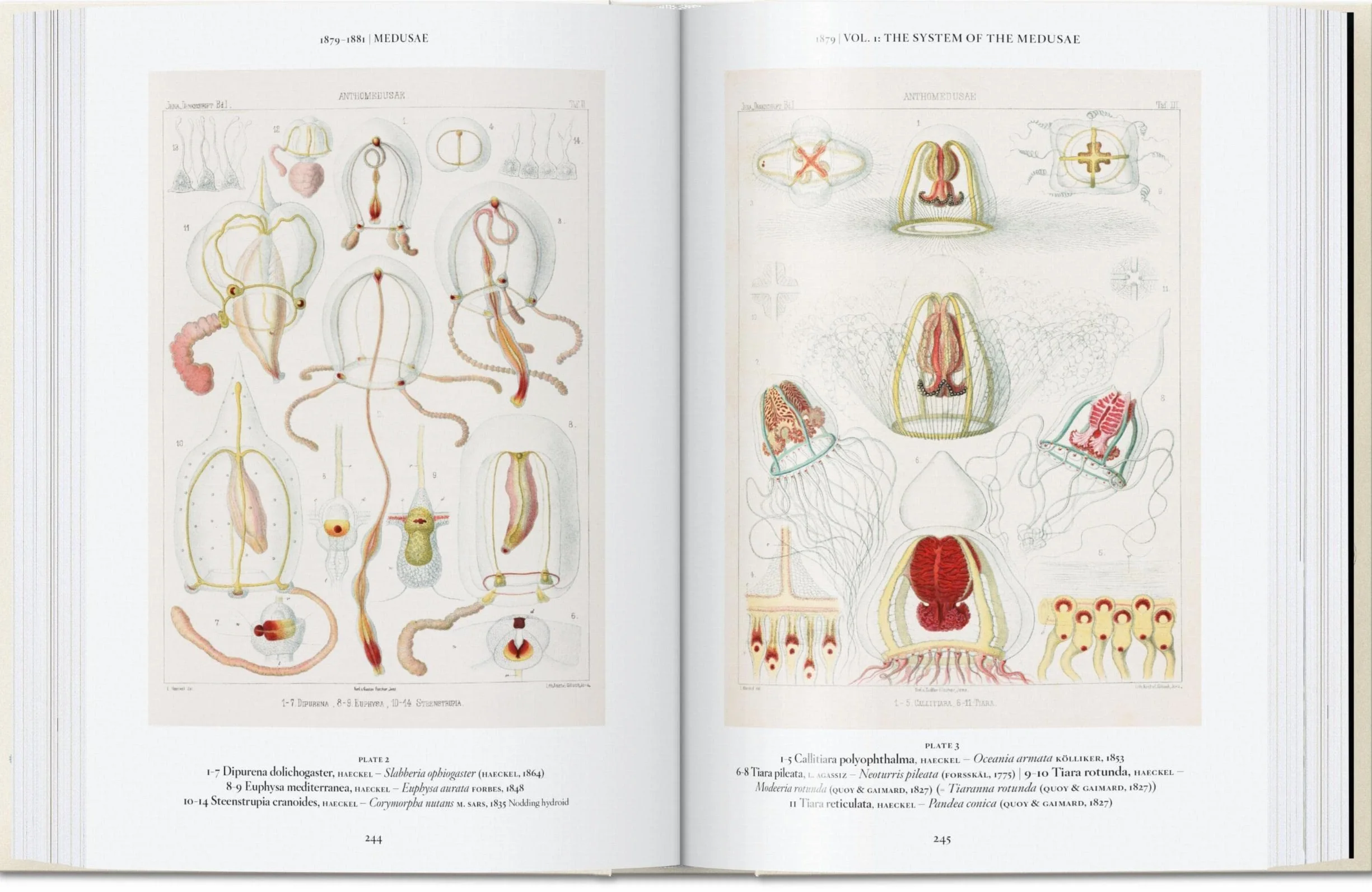 The Art and Science of Ernst Haeckel. 45th Ed.
