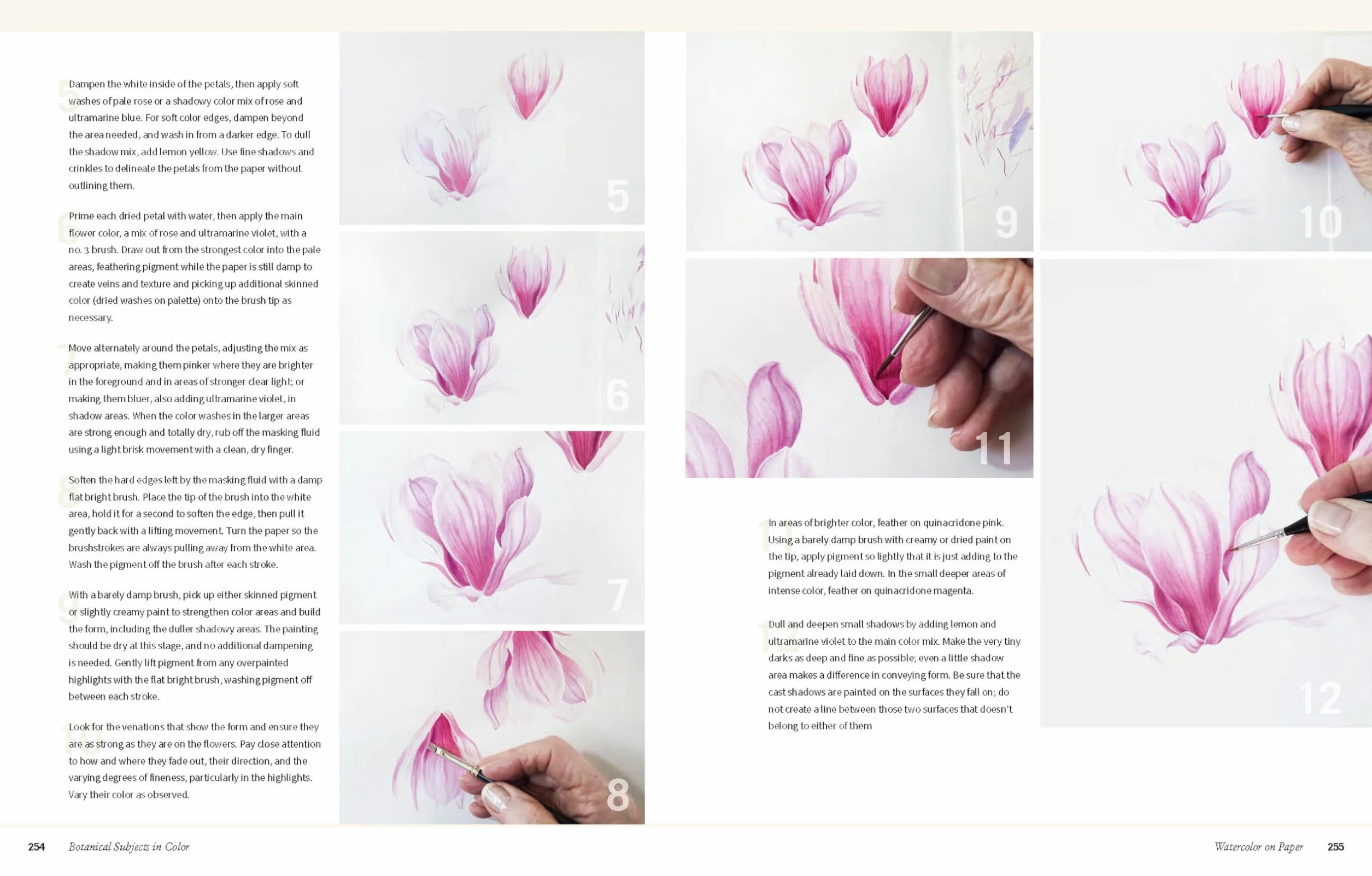 Botanical Art Techniques: A Comprehensive Guide to Watercolor, Graphite, Colored Pencil, Pen and Ink, Egg Tempera, Oils, Printmaking