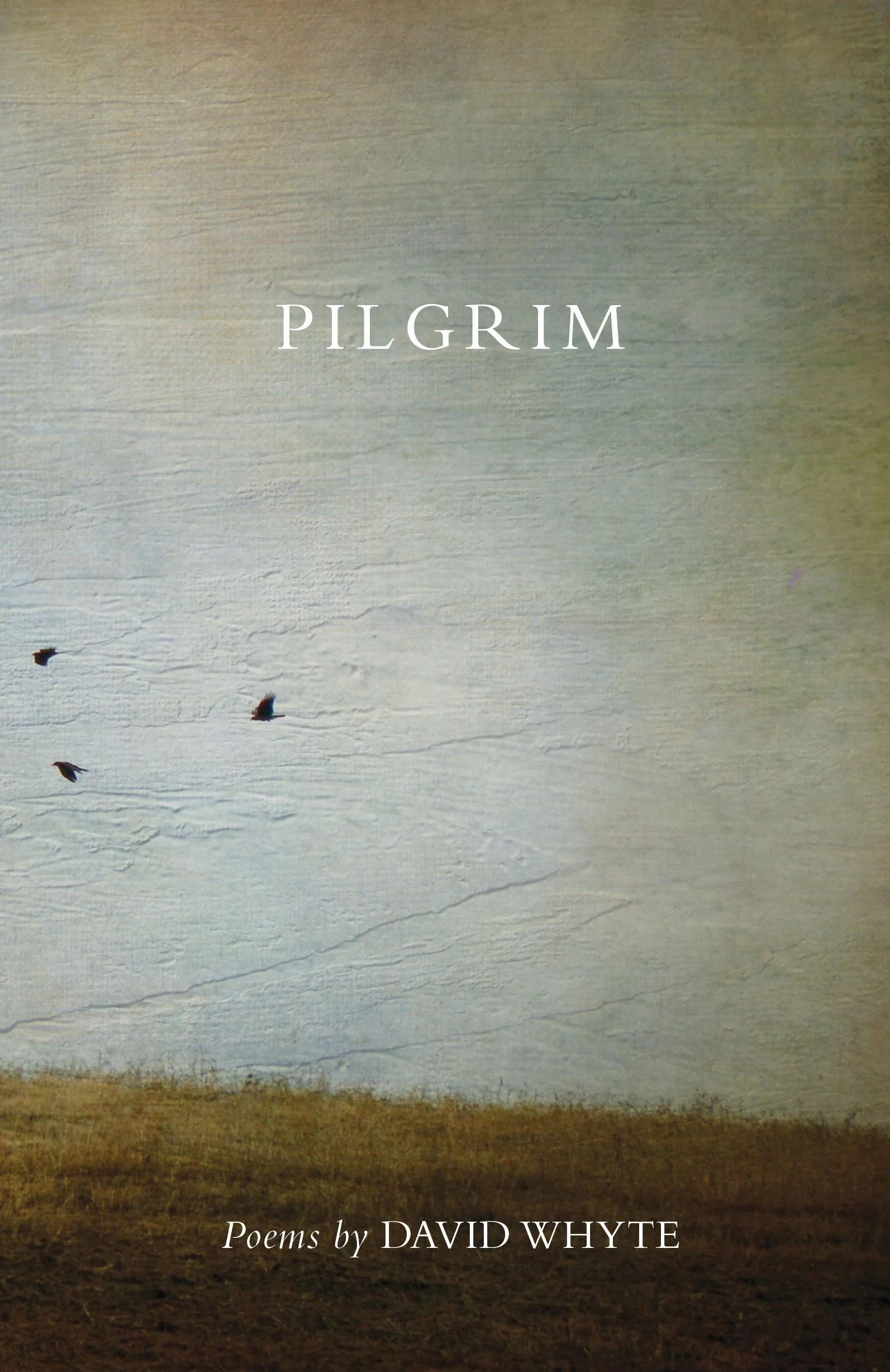 Pilgrim