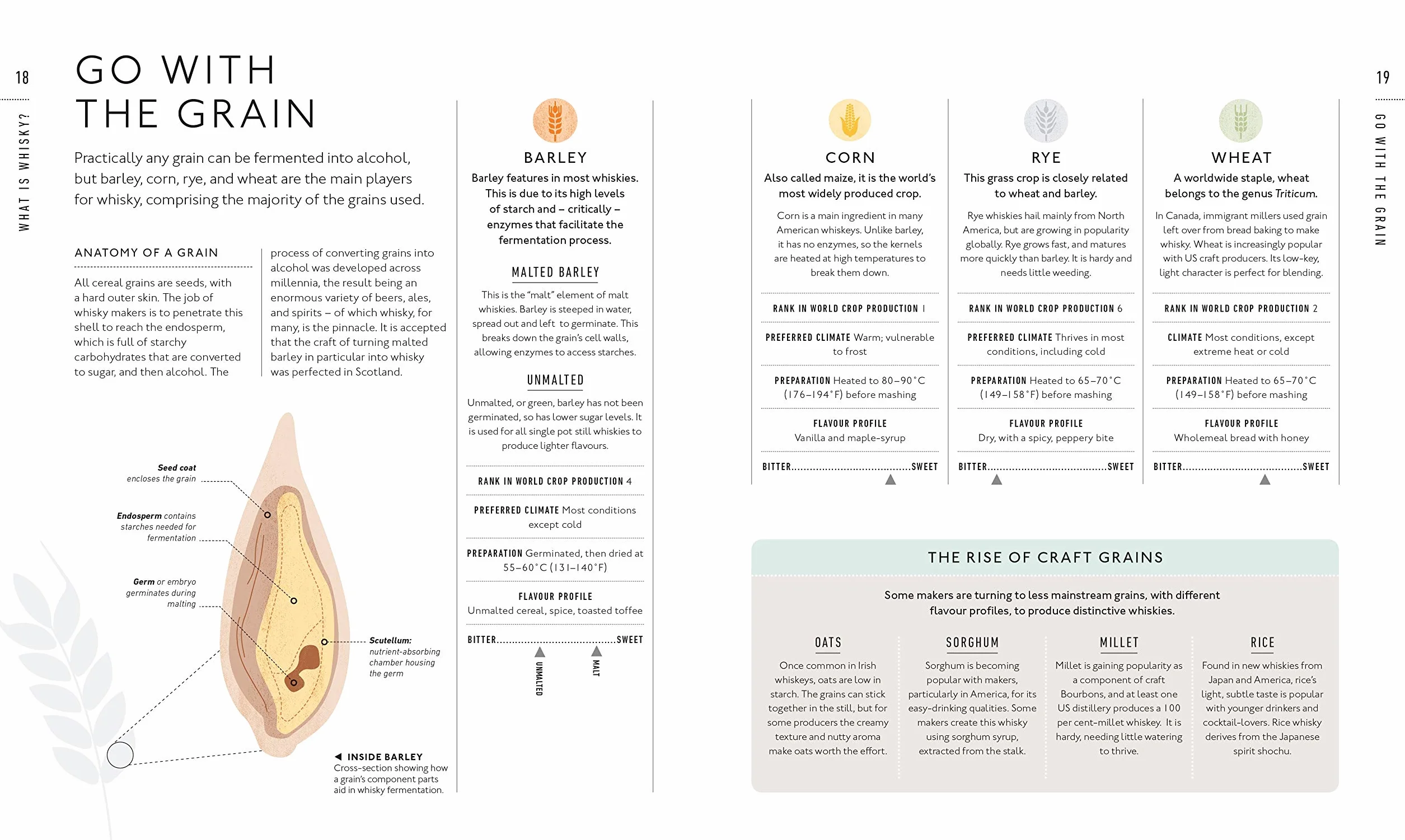Whisky A Tasting Course: A New Way to Think – and Drink – Whisky