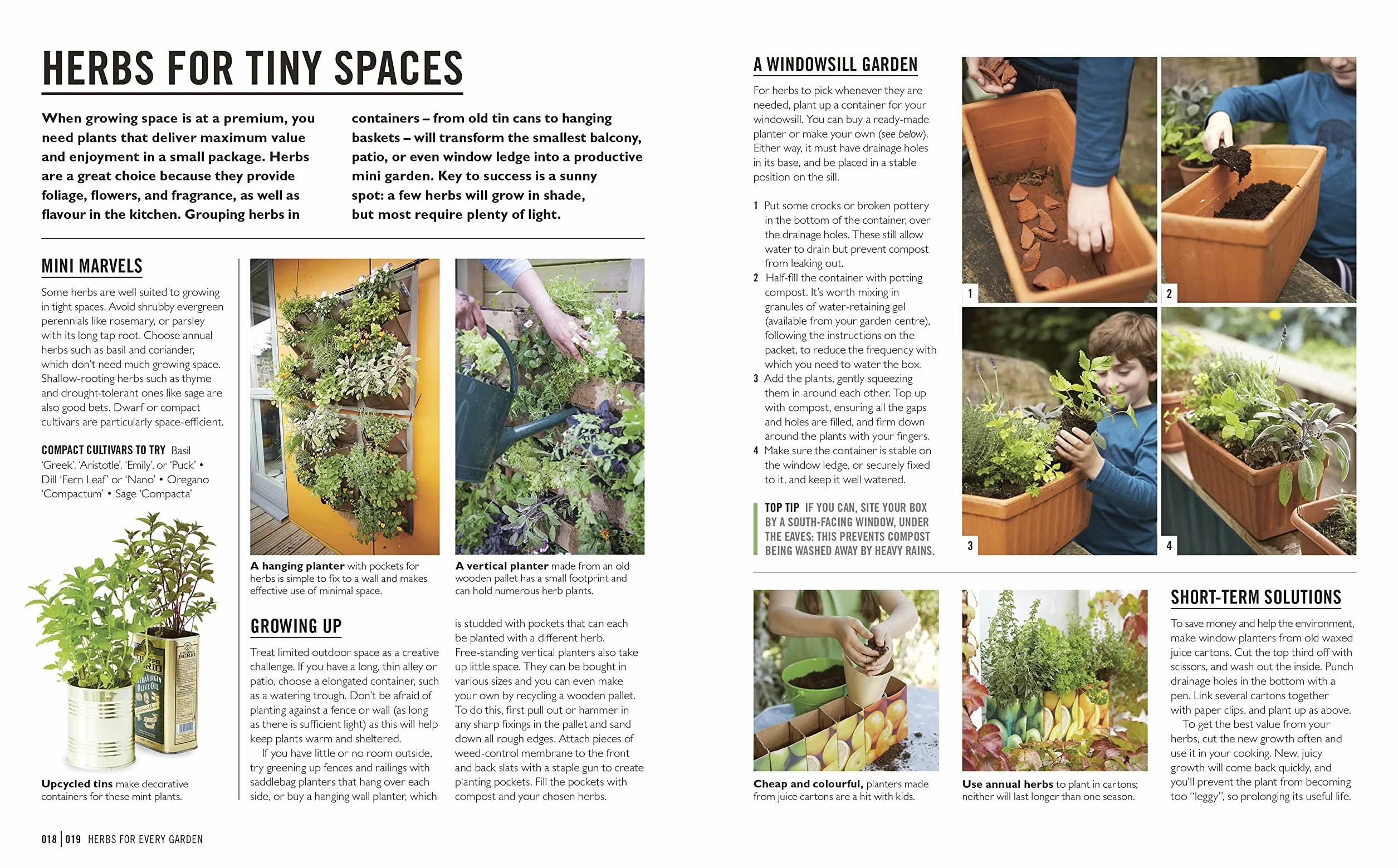 Grow Herbs: Essential Know-how and Expert Advice for Gardening Success