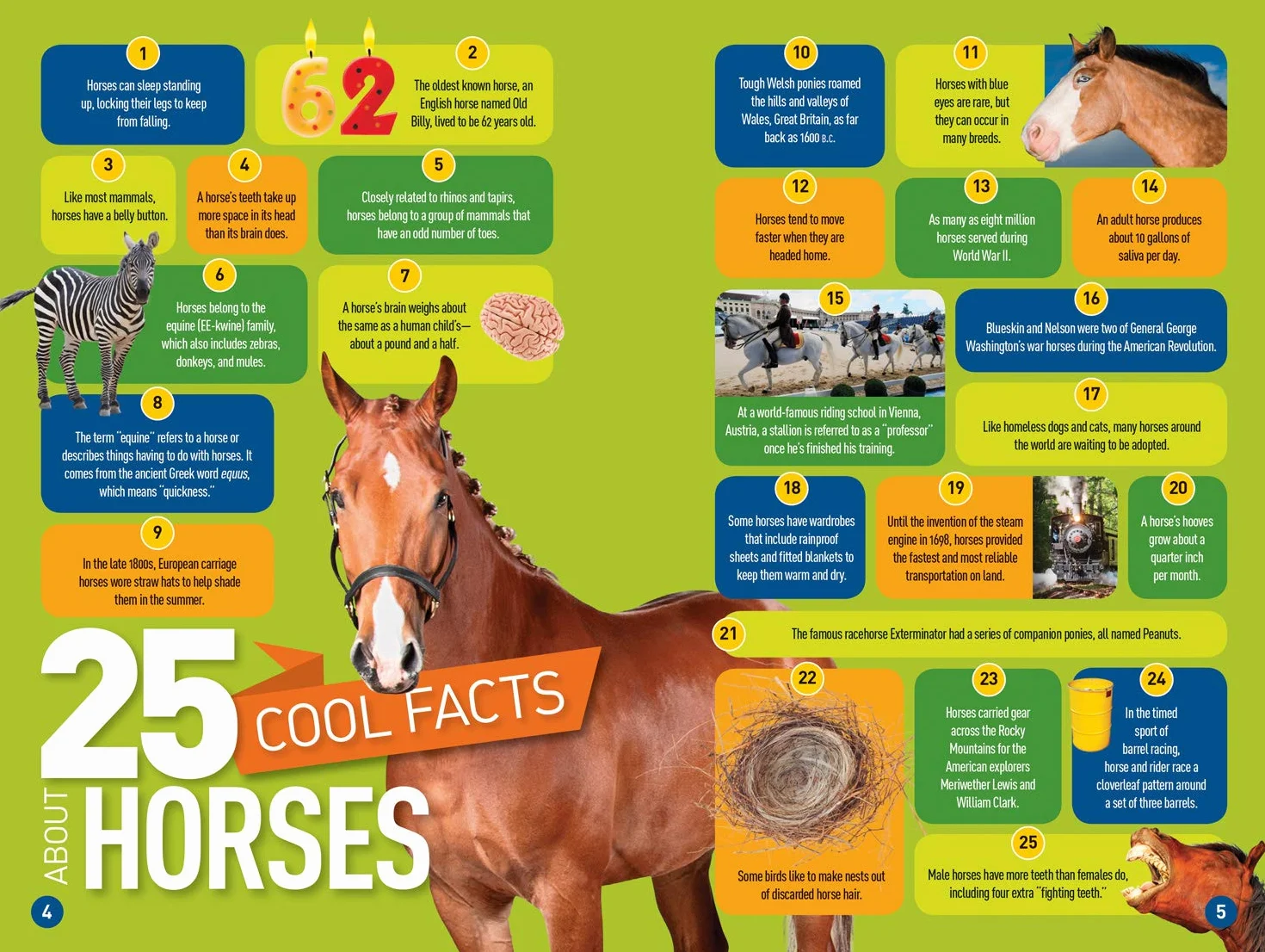 National Geographic Kids Readers: Gallop! 100 Fun Facts About Horses