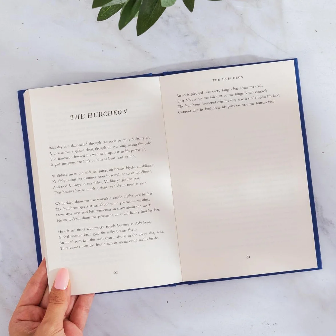 Poyums Annaw: The Instant Sunday Times Bestseller