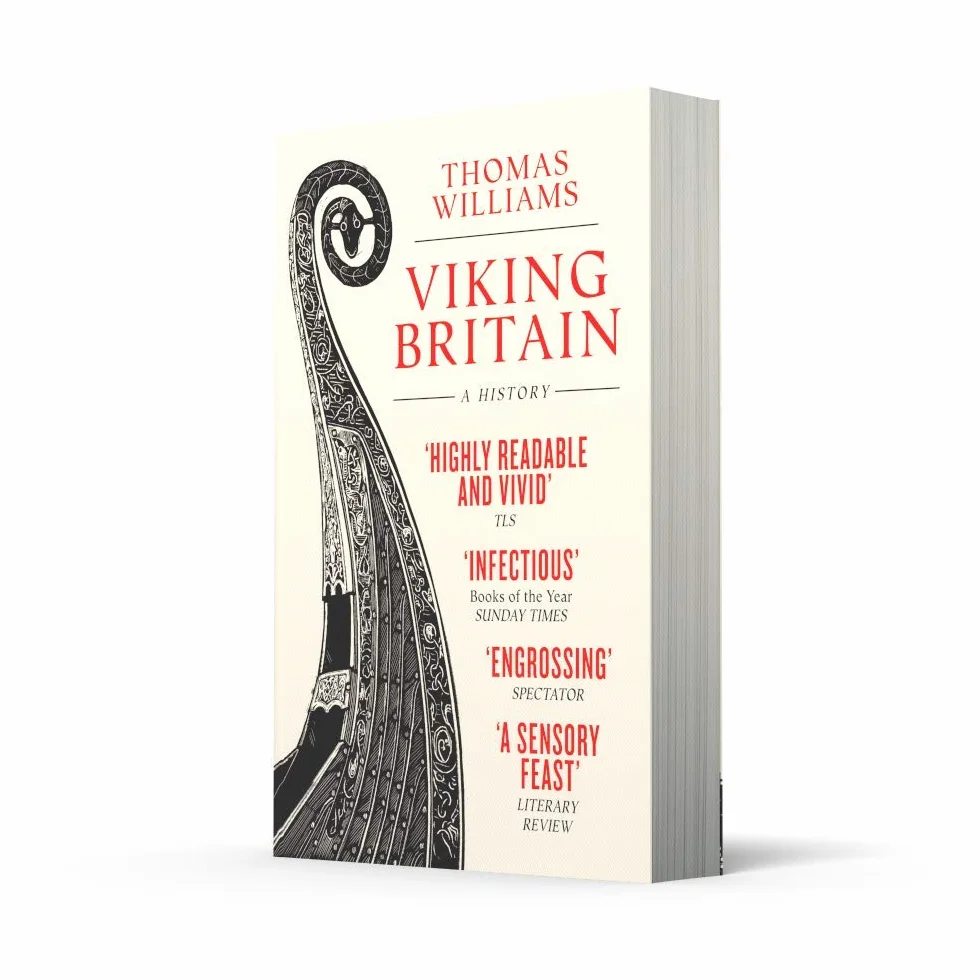 Viking Britain: A History