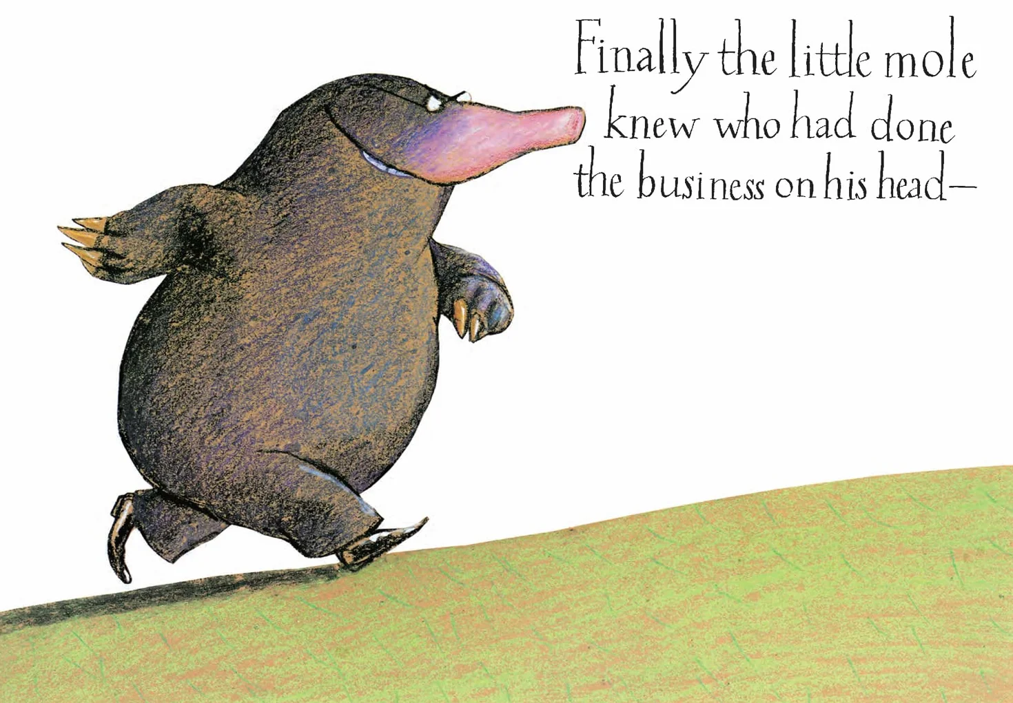 The Story of the Little Mole who knew it was none of his business: The hilarious children's illustrated classic