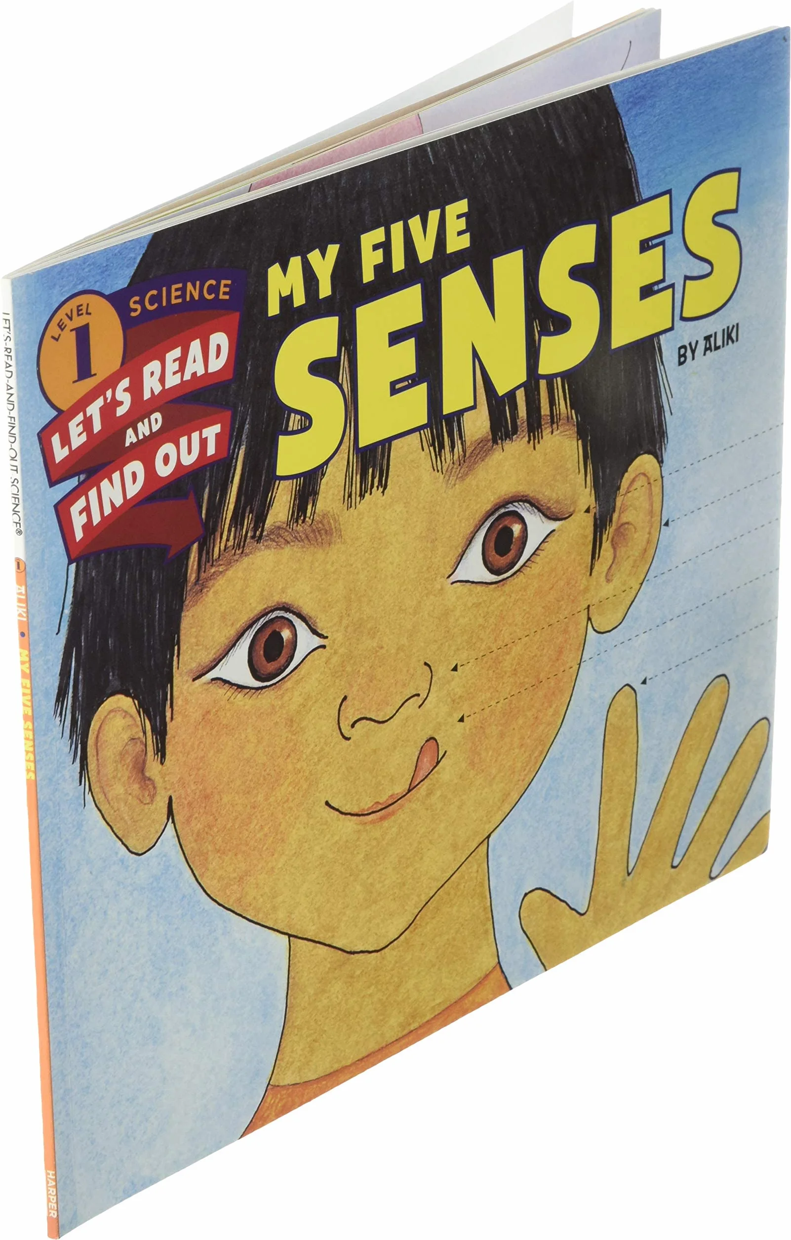 My Five Senses