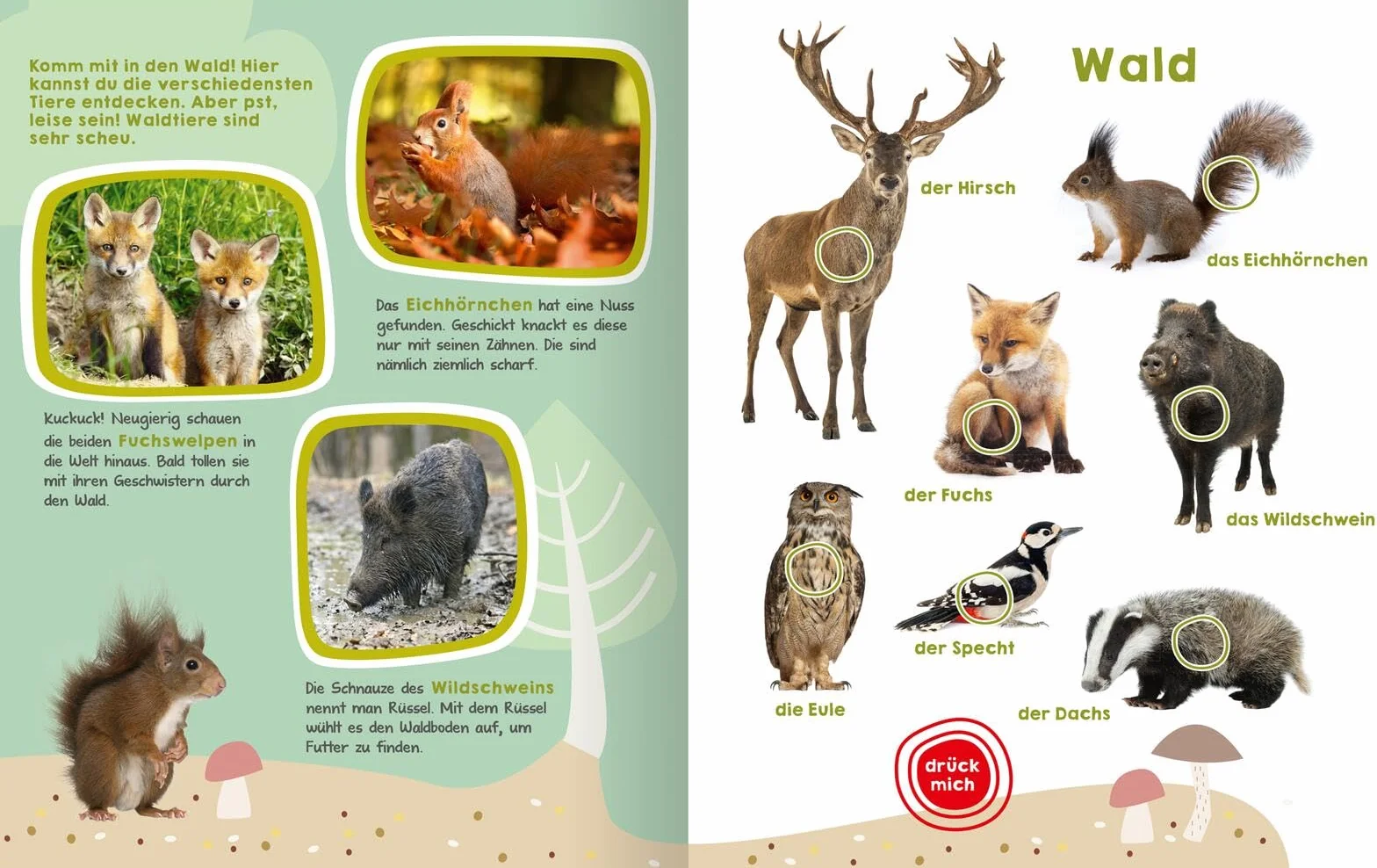 Mein großes Buch der Tiergeräusche: 50 Sounds