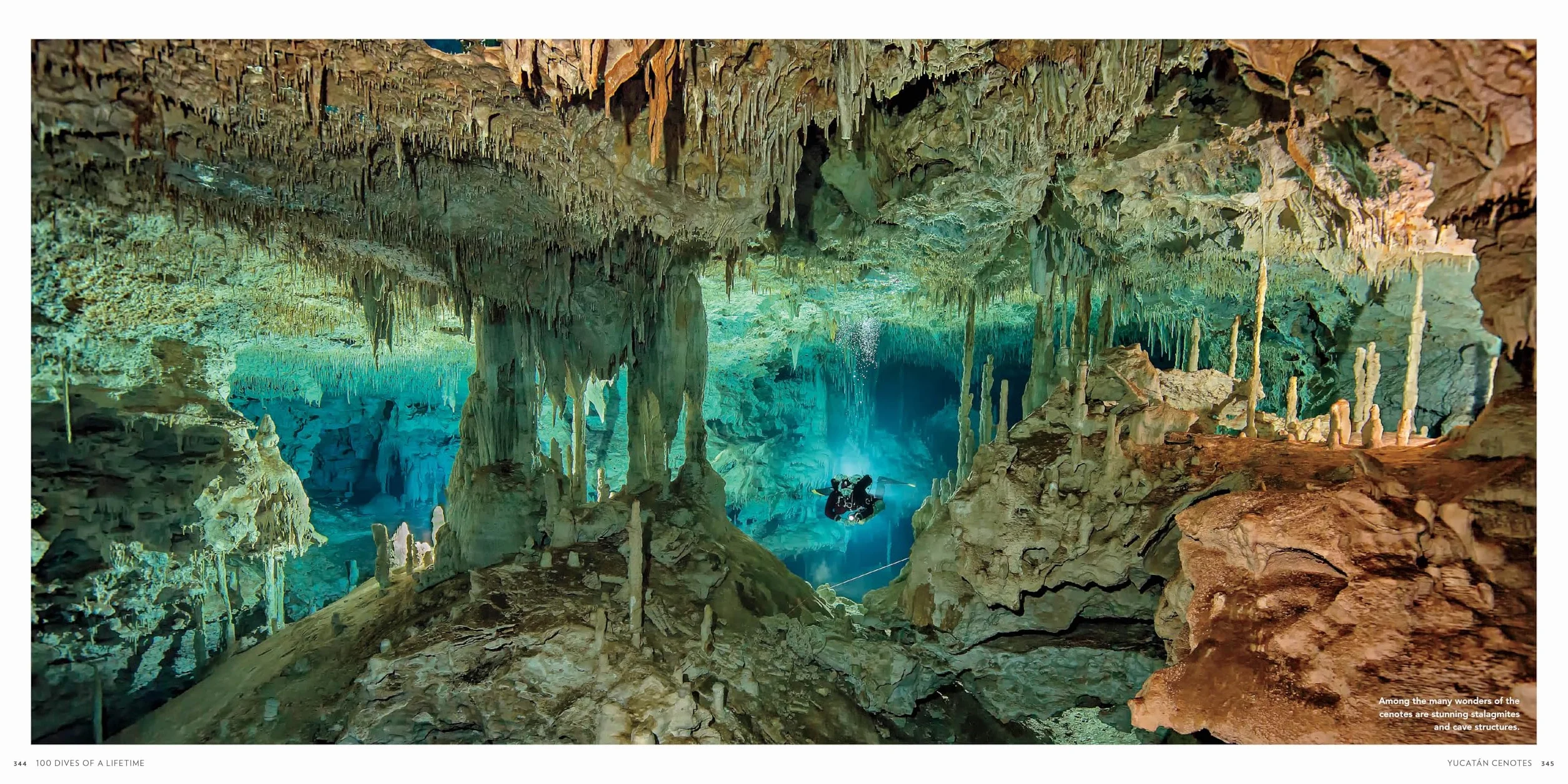 100 Dives of a Lifetime: The World's Ultimate Underwater Destinations
