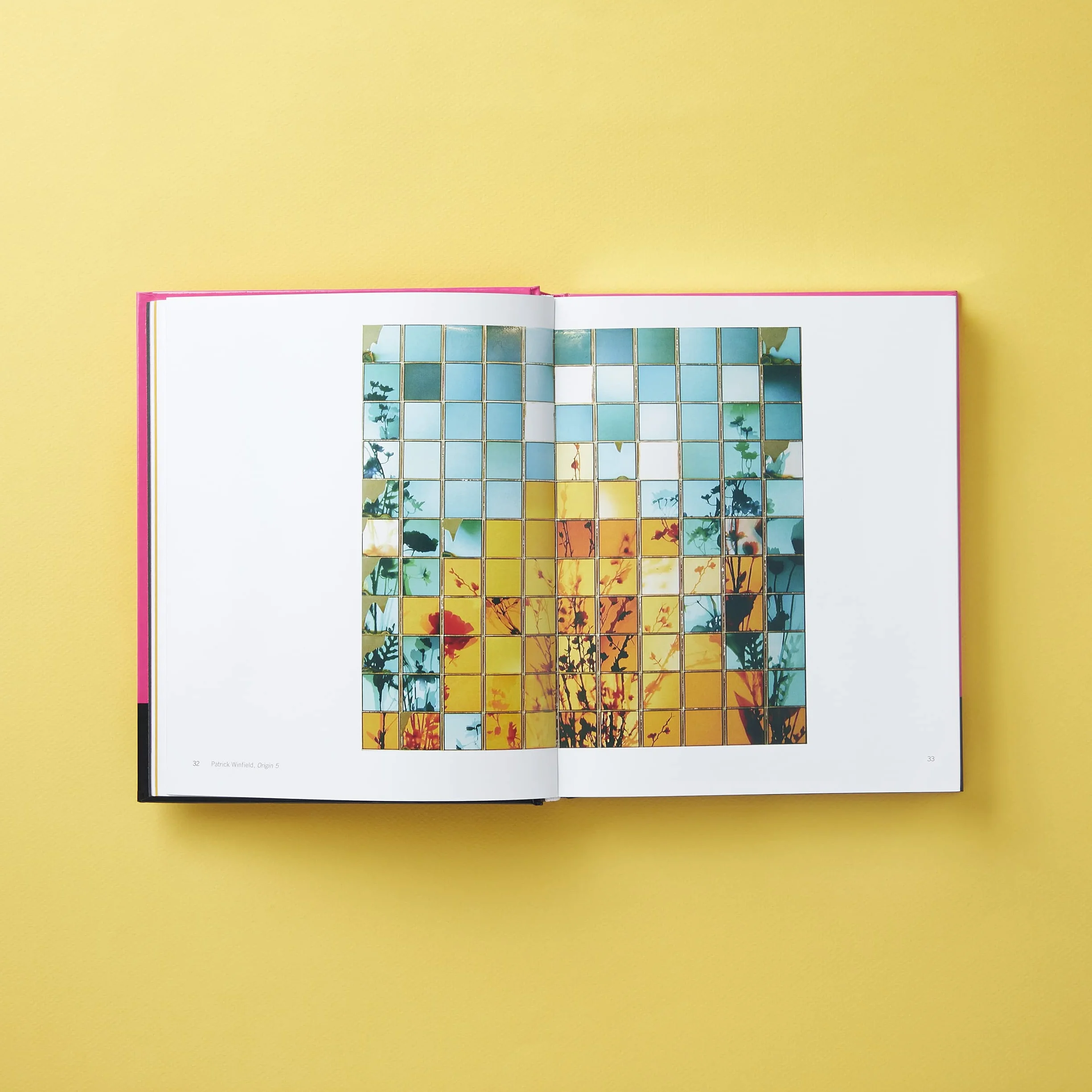Polaroid Now: The History and Future of Polaroid Photography