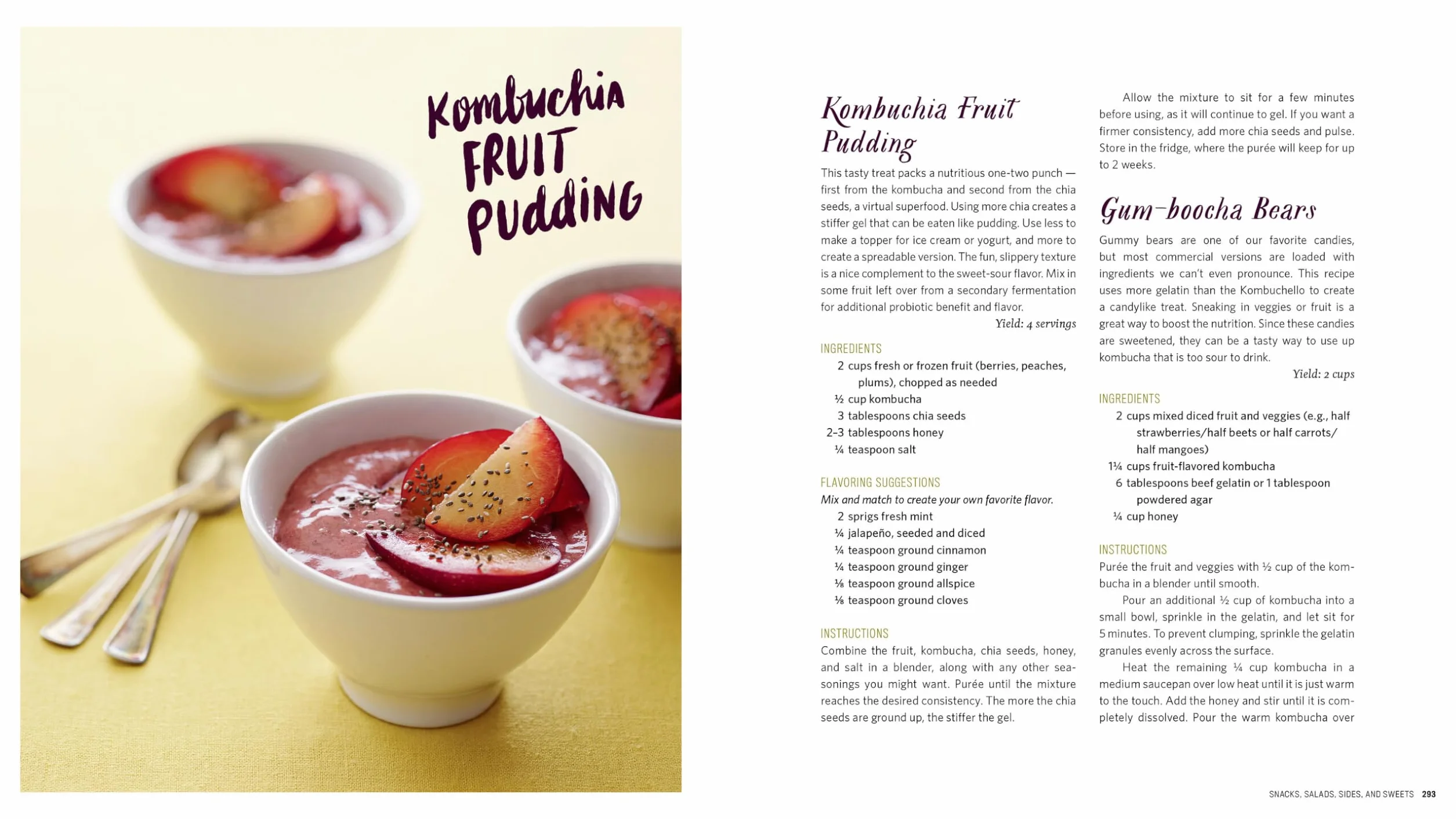 The Big Book of Kombucha: Brewing, Flavoring, and Enjoying Fermented Tea