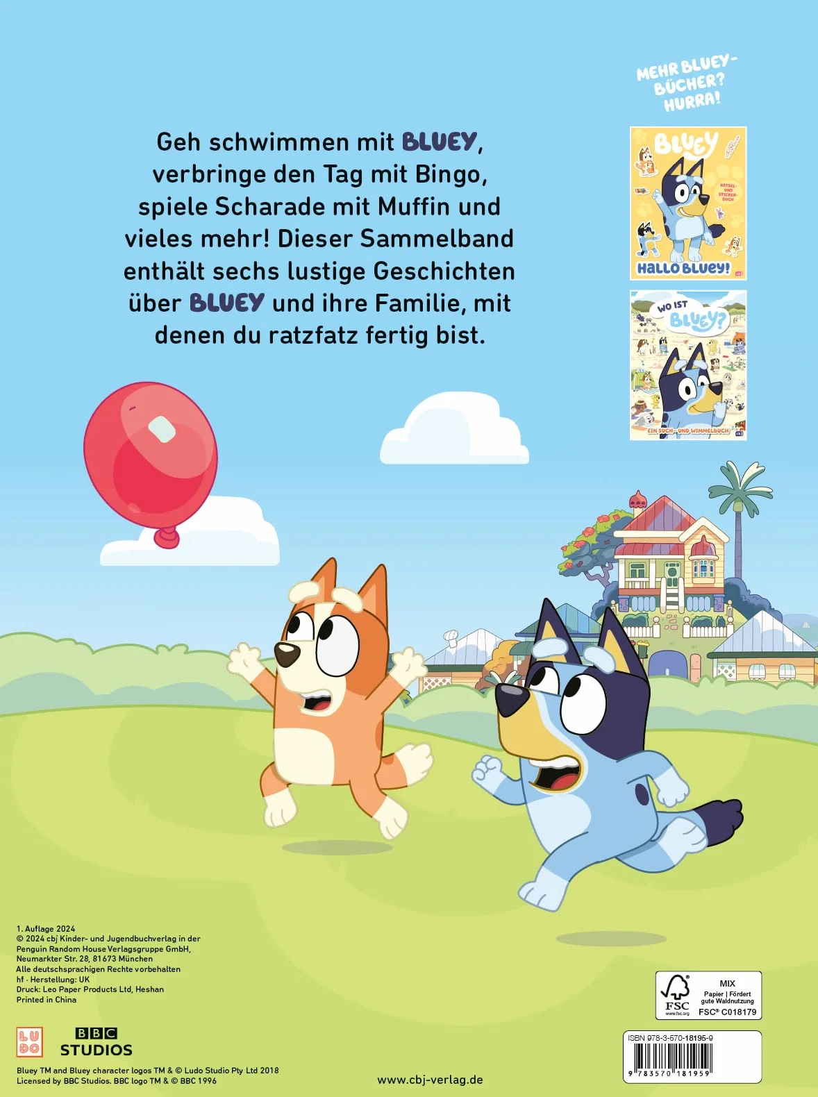 BLUEY 5-Minuten-Geschichten Bilderbuch für Kinder ab 3 Jahren