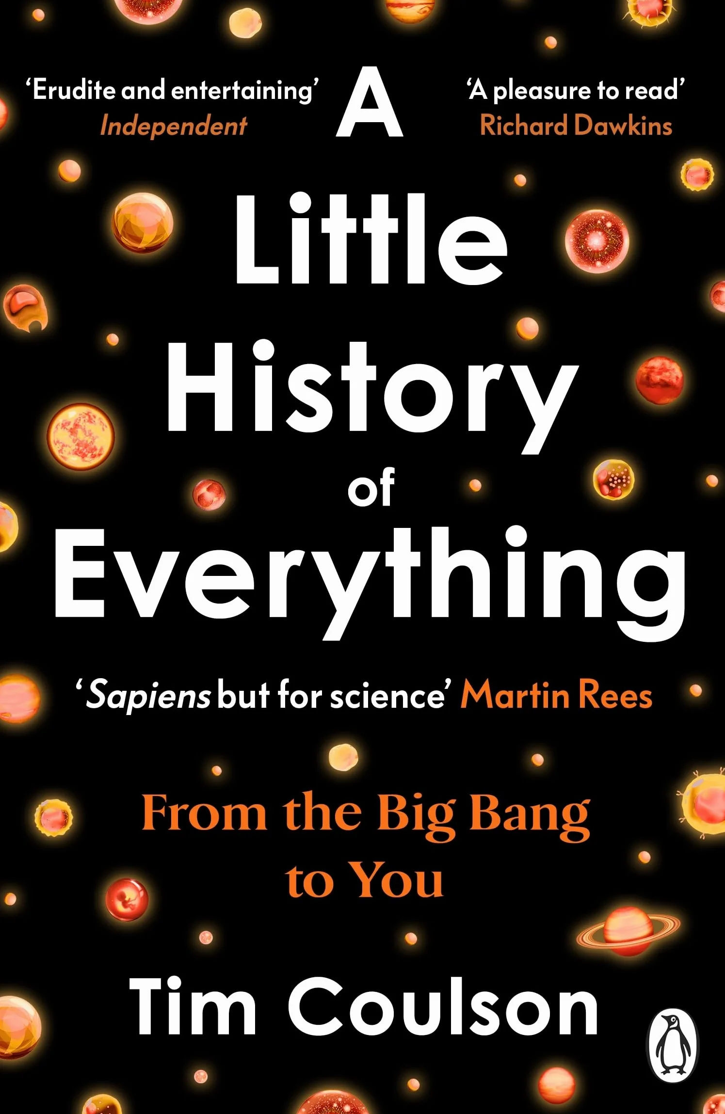 A Little History of Everything: From the Big Bang to You