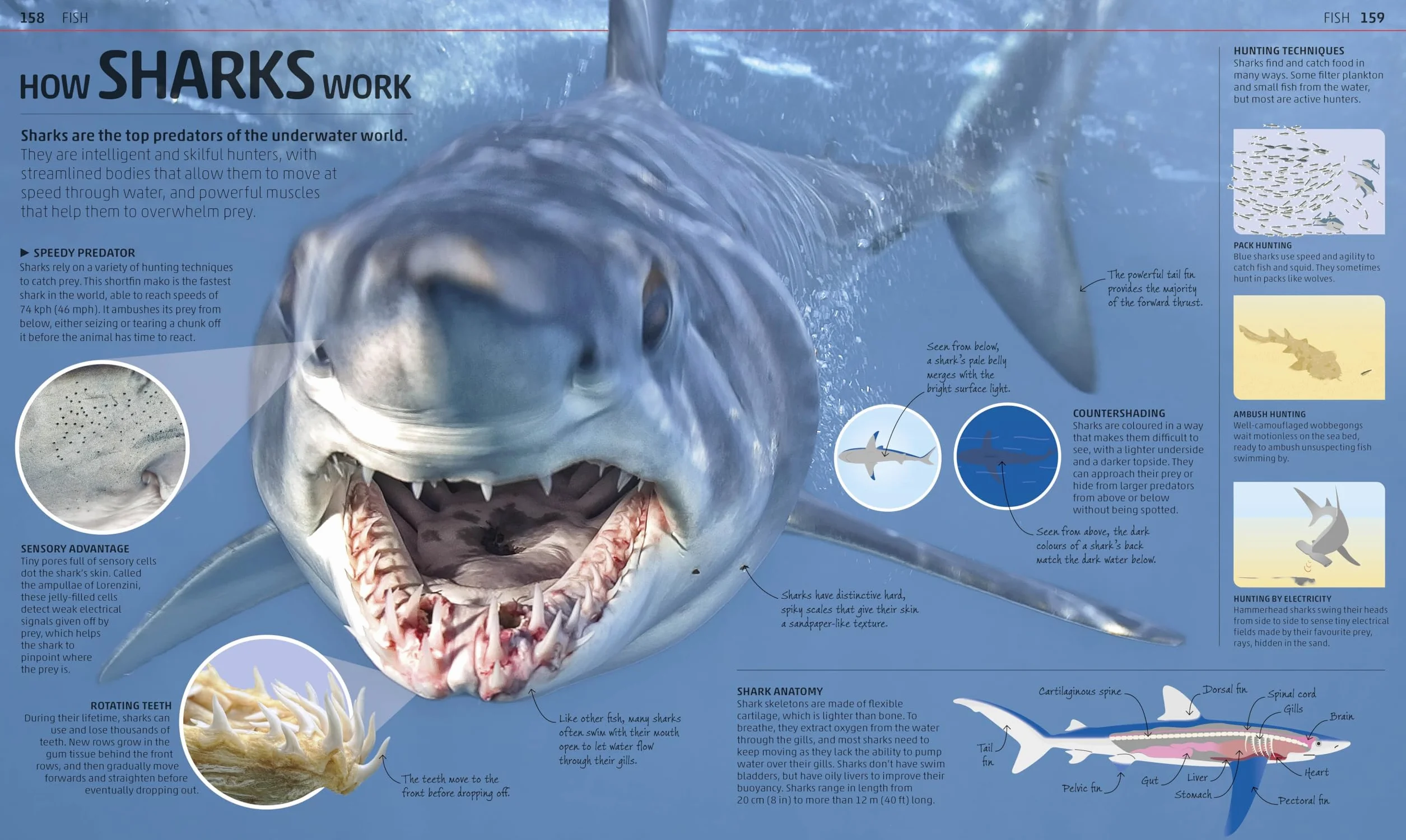 Explanatorium of Nature: Where the Wonders of the World are Revealed