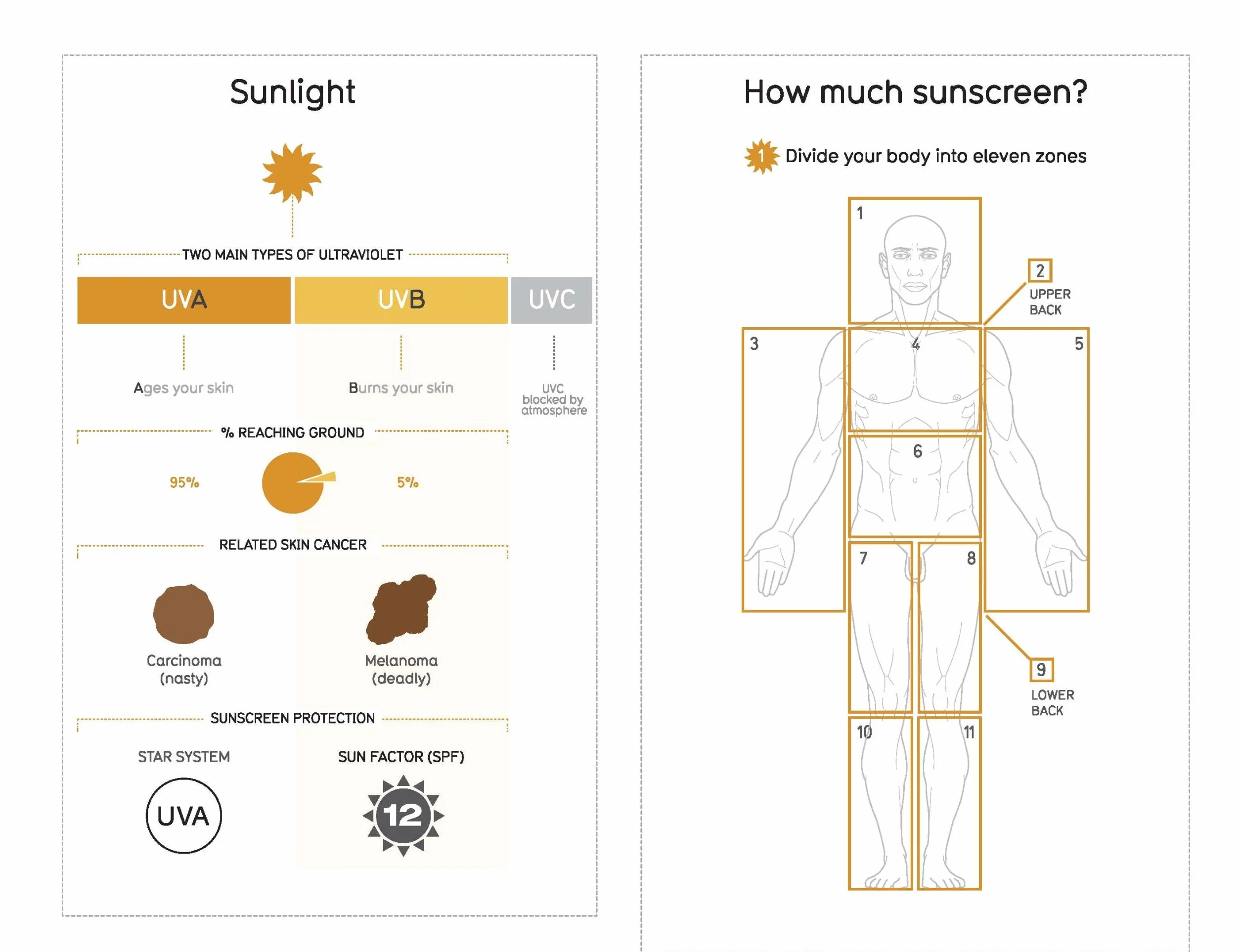 Information is Beautiful (New Edition): Illustrated Guide to Data Visualisations