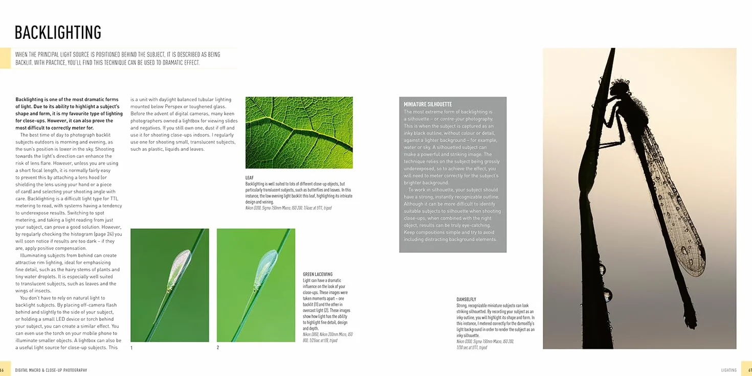 Digital Macro & Close-Up Photography: New Edition