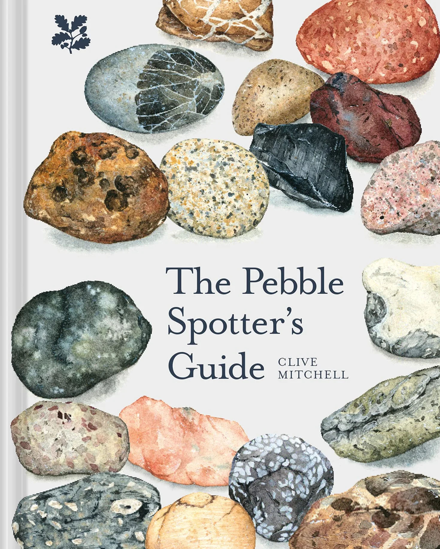 The Pebble Spotter's Guide