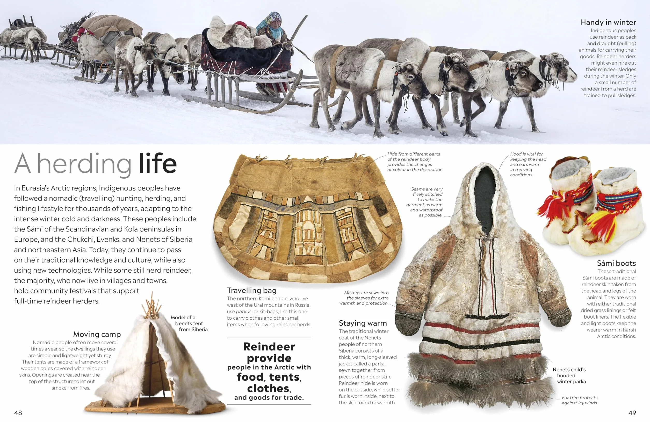 Arctic and Antarctic: DK Eyewitness