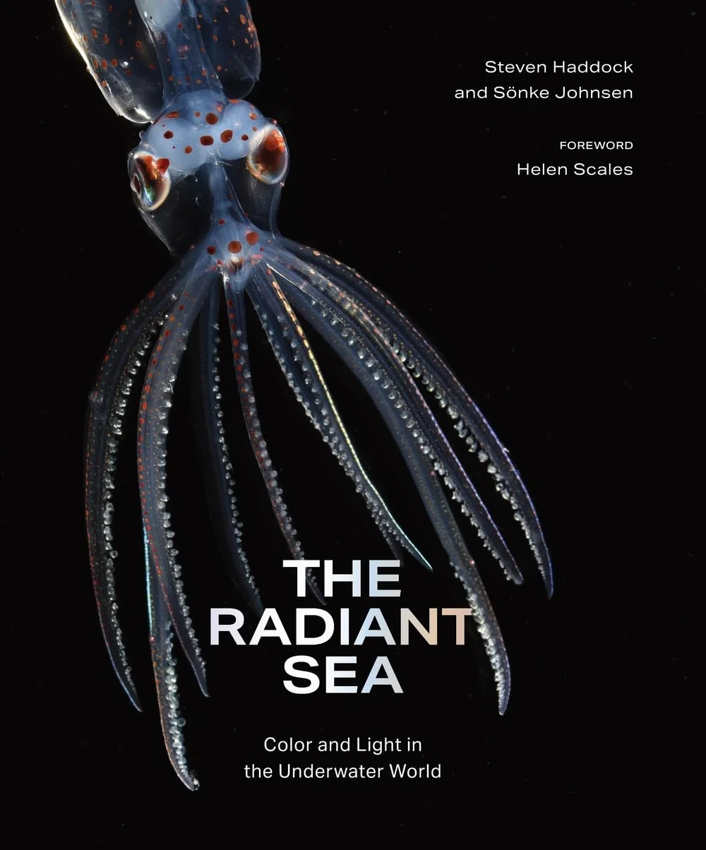 The Radiant Sea: Color and Light in the Underwater World