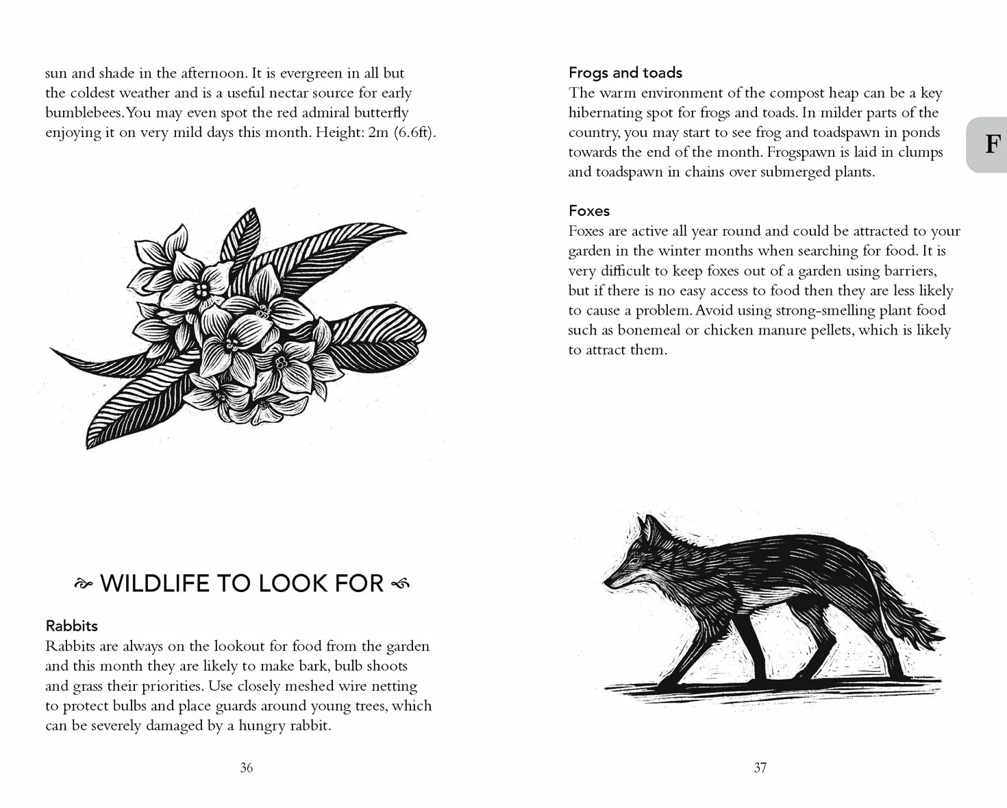 The Gardener's Almanac 2024