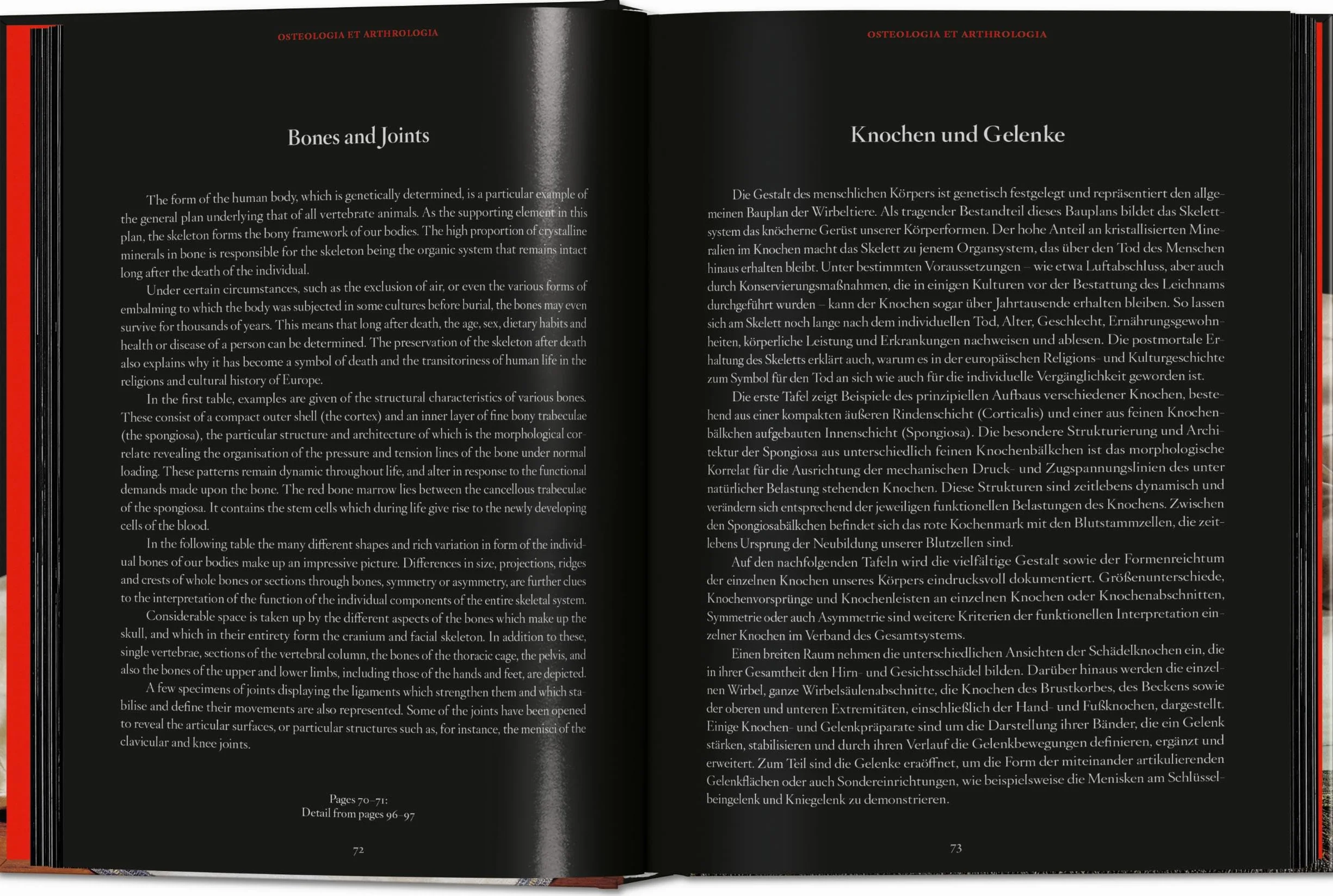 Anatomical Waxes. 45th Ed.