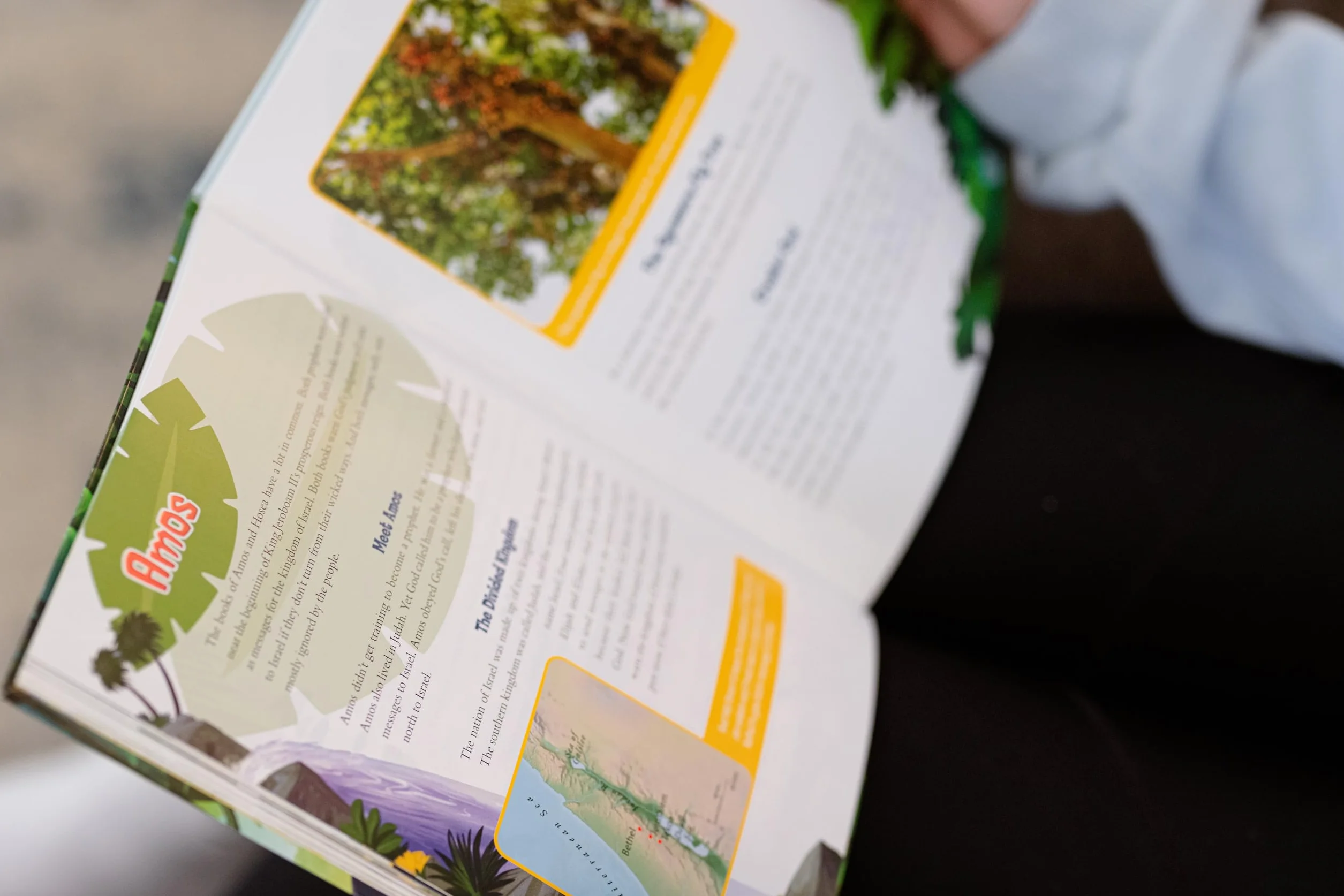 Adventure Bible Guide: Explore the Stories, People, and Places of Every Book in the Bible: An Ideal Companion to the NIV Adventure Bible