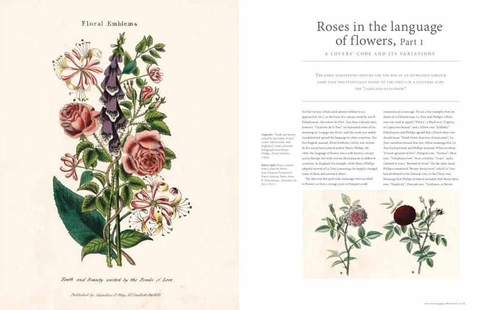 Rhs the Rose: The History of the World's Favourite Flower Told Through 40 Extraordinary Roses