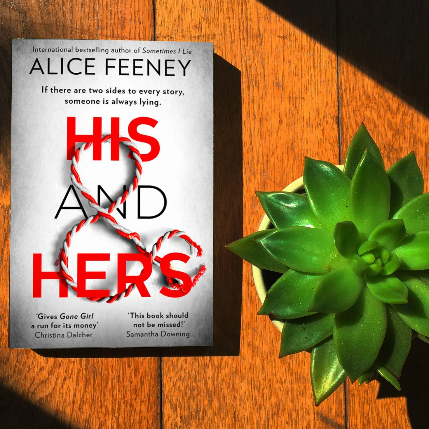 His and Hers: Addictive Psychological Suspense Thriller from Bestselling Author of Beautiful Ugly, Netflix Global Phenomenon 2026