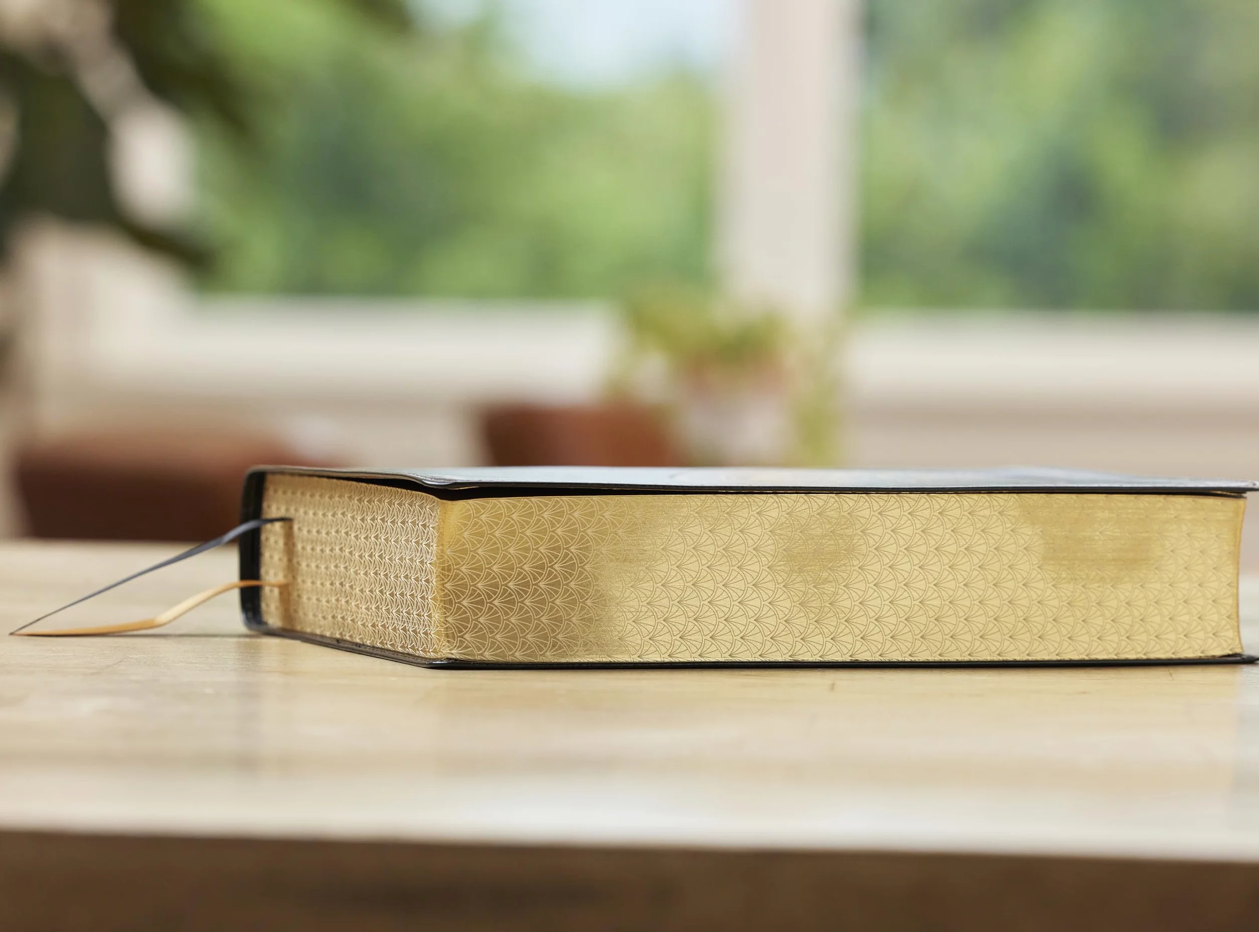 Nrsvce, Illustrated Catholic Bible, Leathersoft, Comfort Print: Holy Bible