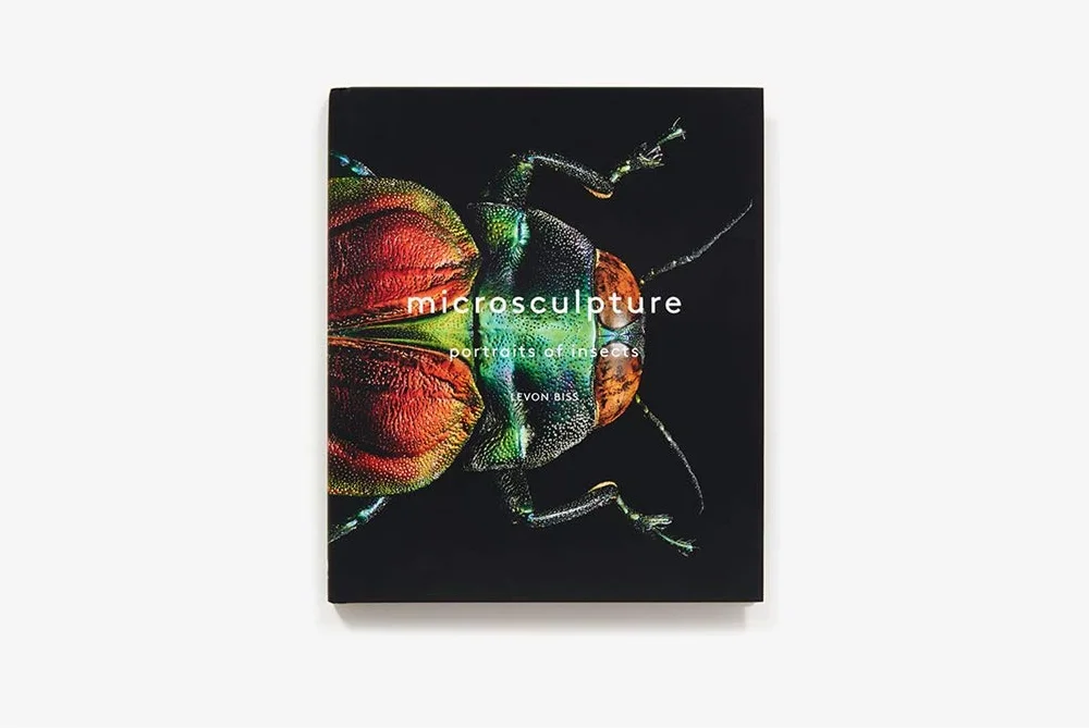 Microsculpture: Portraits of Insects