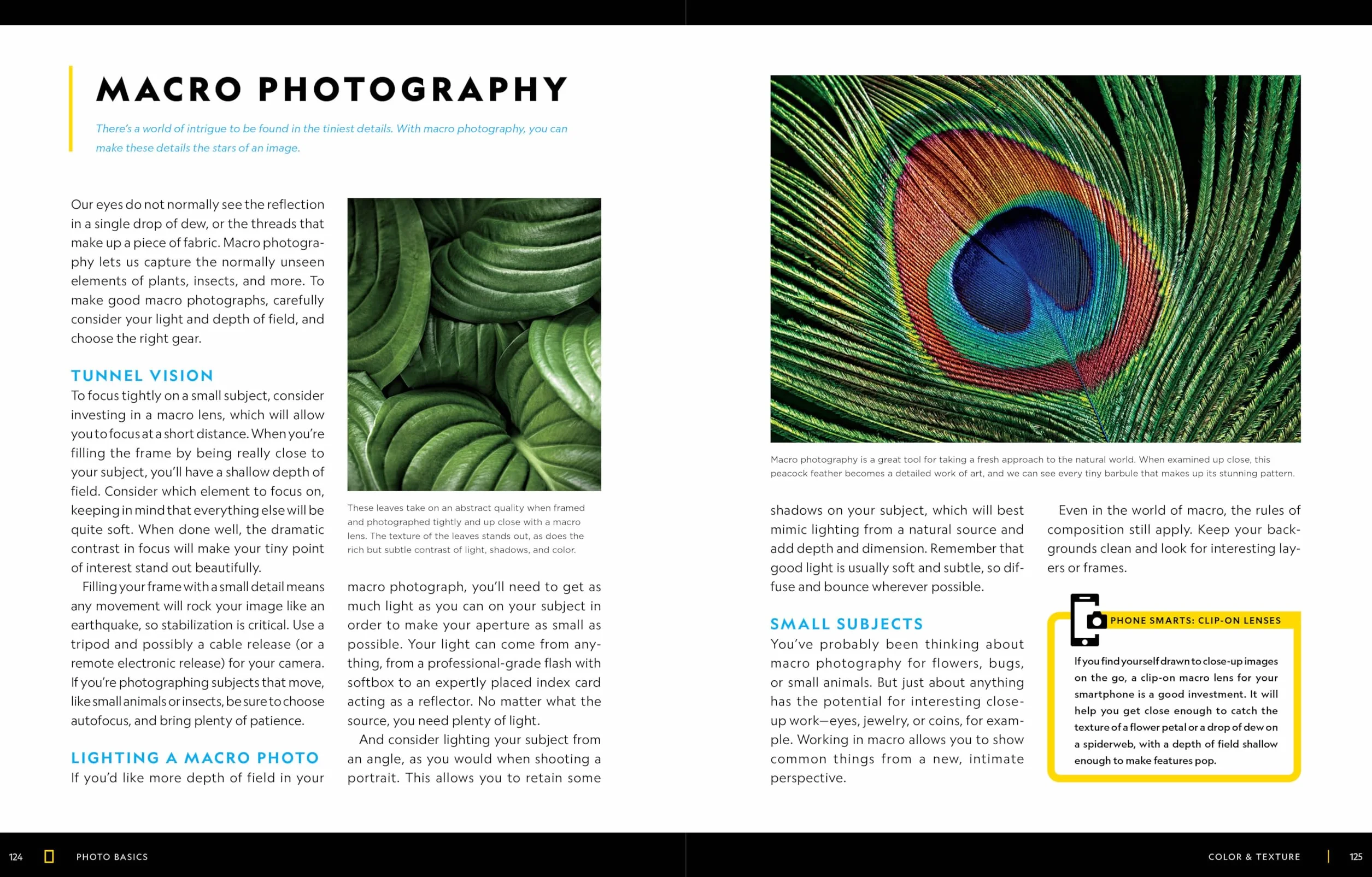 National Geographic Photo Basics: The Ultimate Beginner's Guide to Great Photography