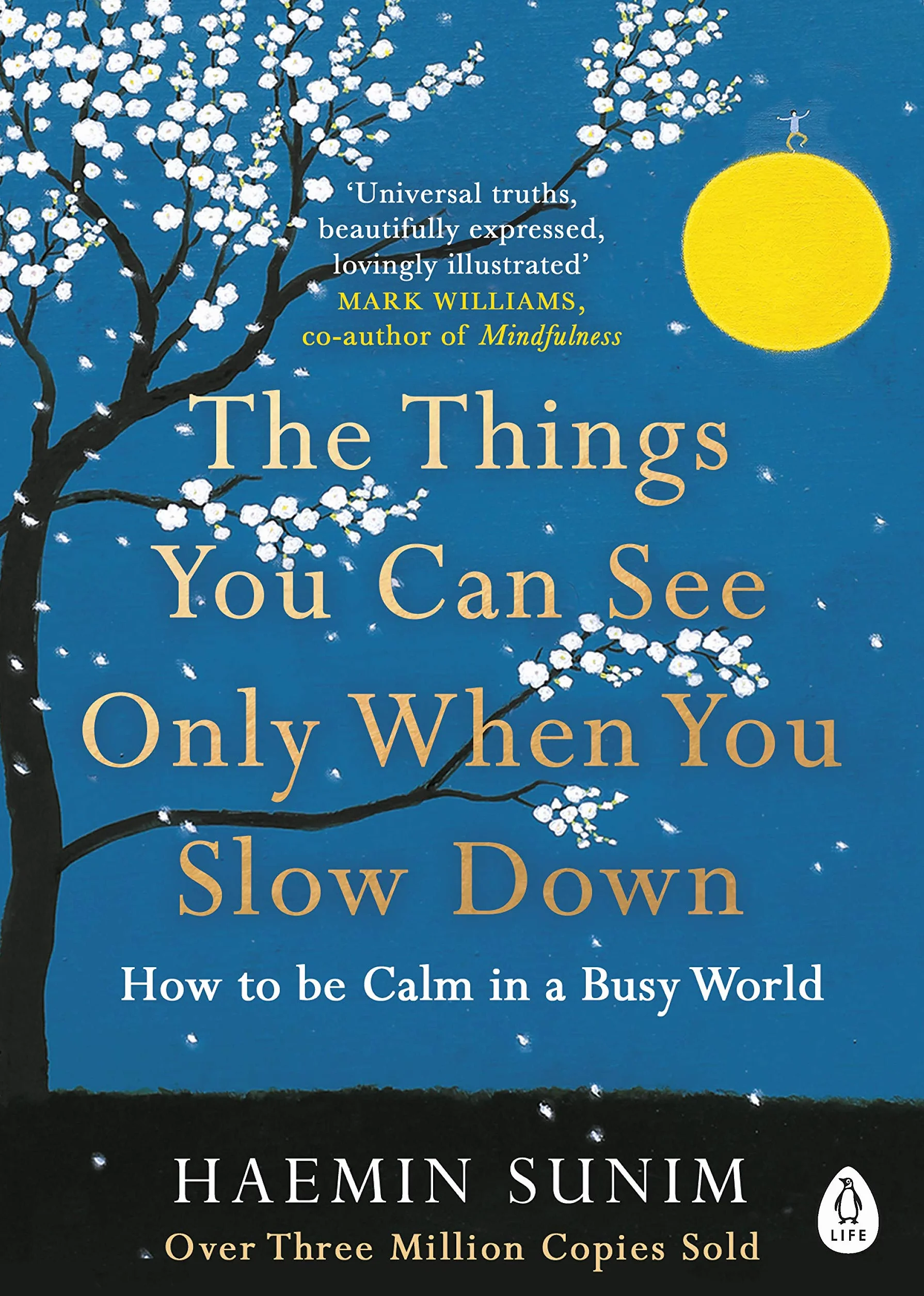 The Things You Can See Only When You Slow Down: Bring calm to your life with the ultimate mindfulness guide from a Buddhist monk
