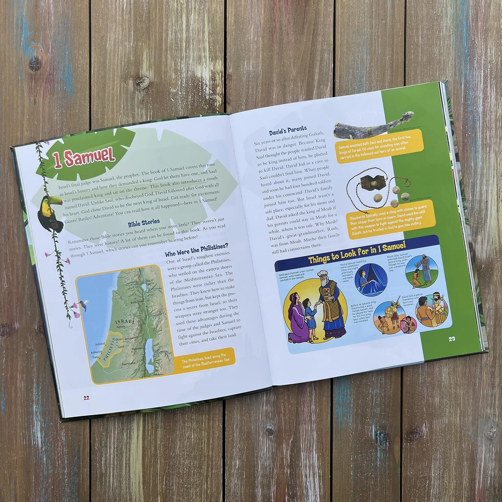 Adventure Bible Guide: Explore the Stories, People, and Places of Every Book in the Bible: An Ideal Companion to the NIV Adventure Bible