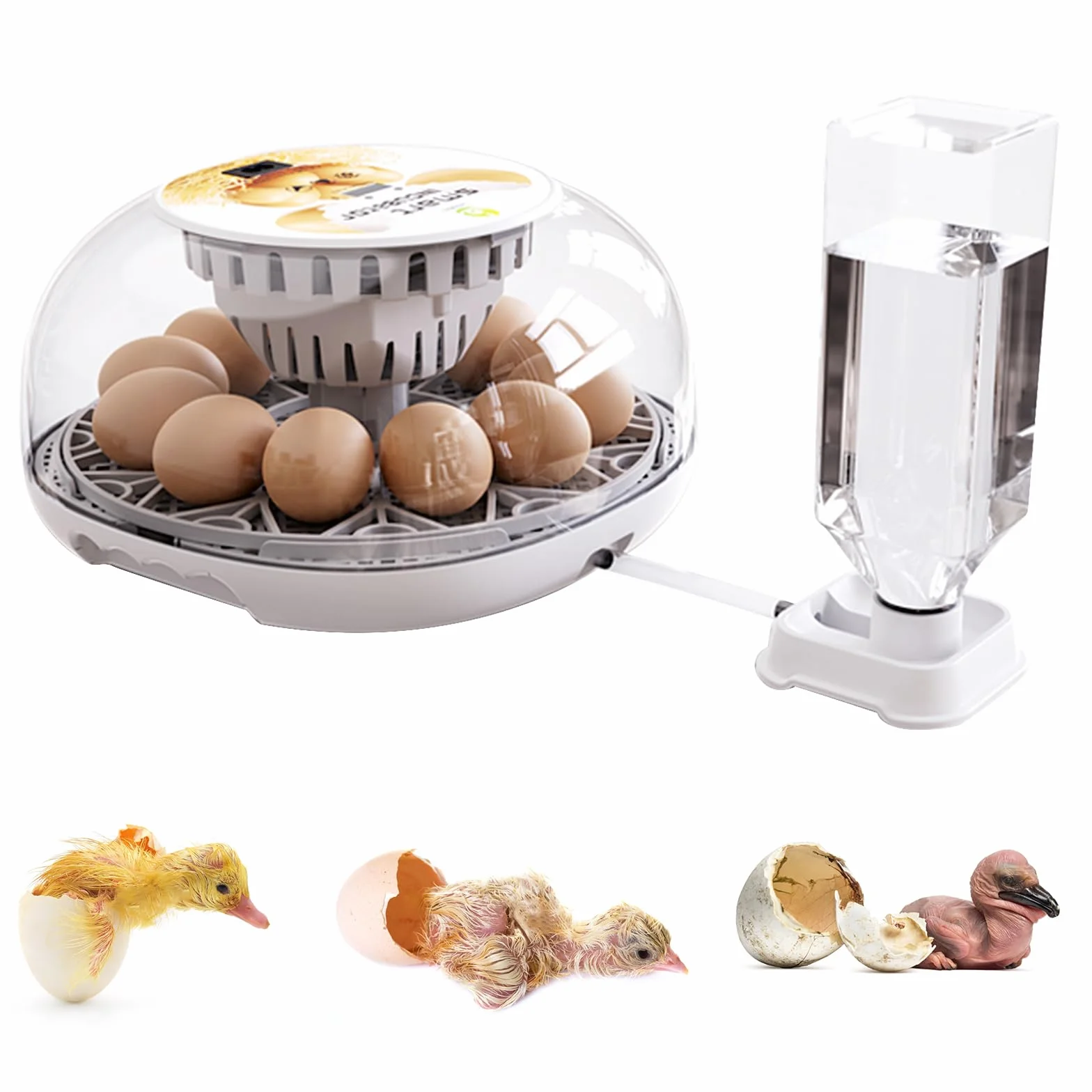Automatyczny inkubator dla kur 12 jaj 300 ml automatyczne obracanie regulacja temperatury