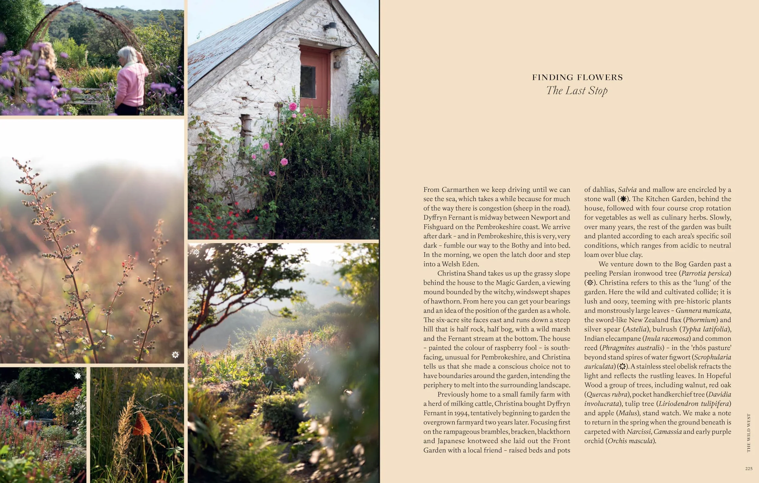 Naturalistic Flowers: A Year of Plants, Places and People /anglais