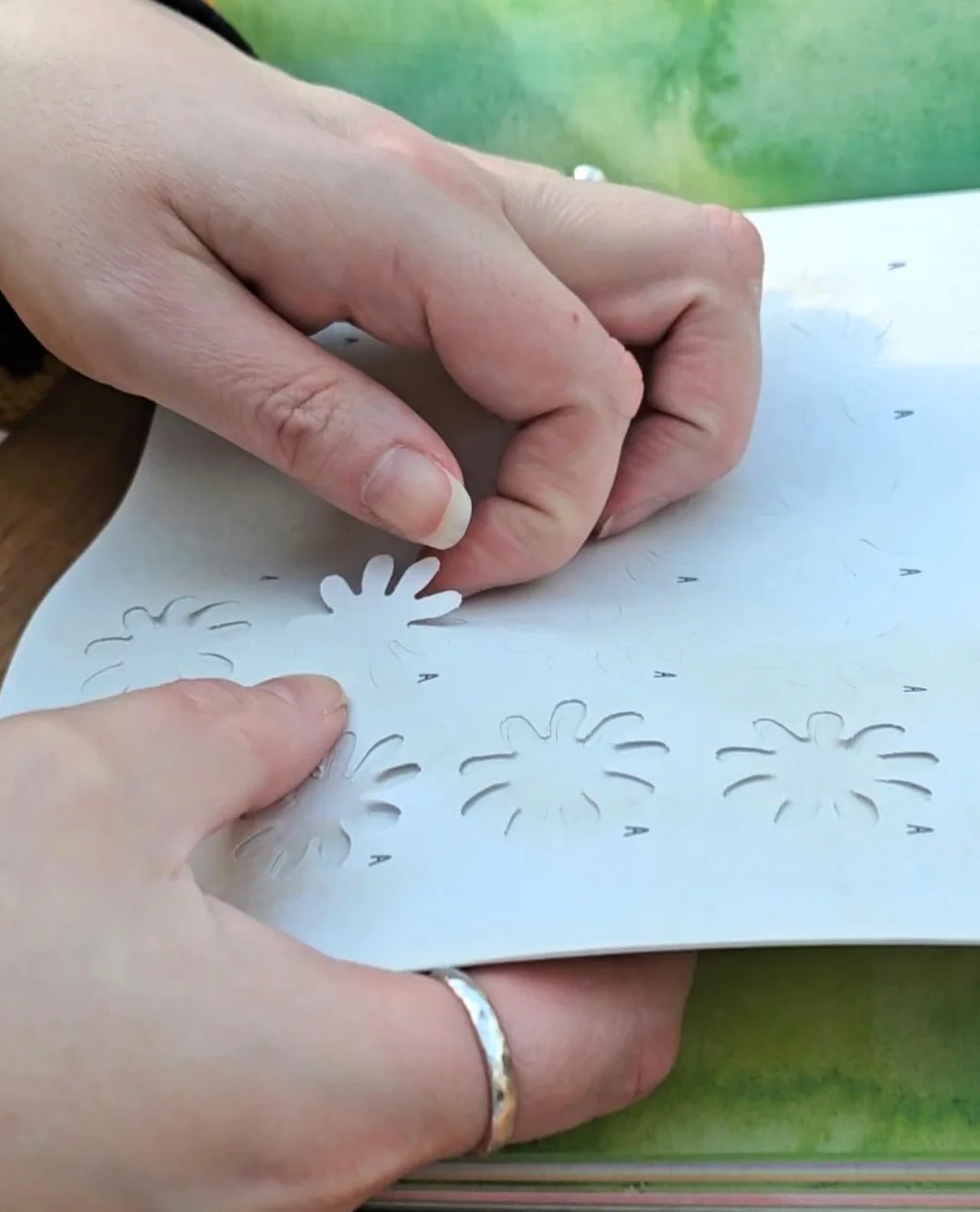 The Bouquet in a Book: Pre-Punched Pages to Press Out and Make: 1