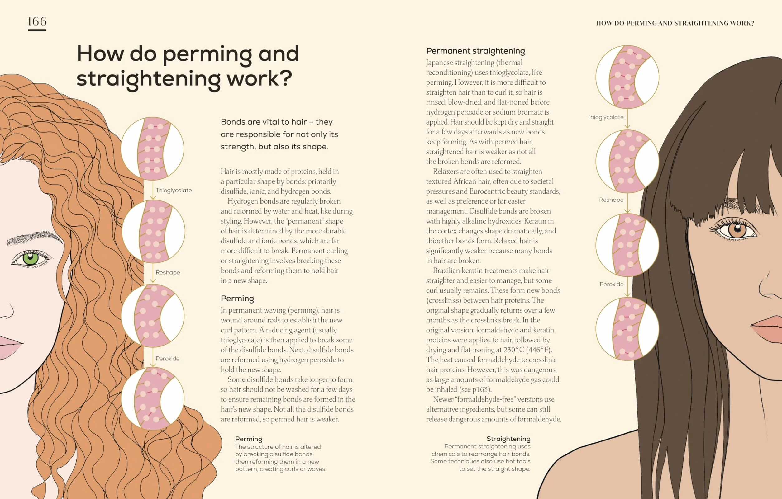 The Science of Beauty: Debunk the Myths and Discover What Goes into Your Beauty Routine
