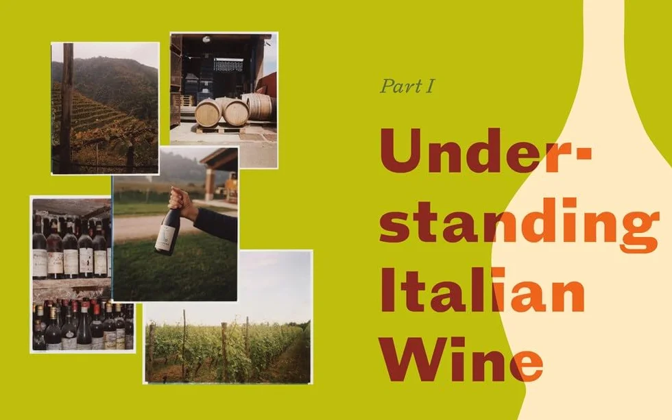 Italian Wine History, Regions, and Grapes of an Iconic Wine Country